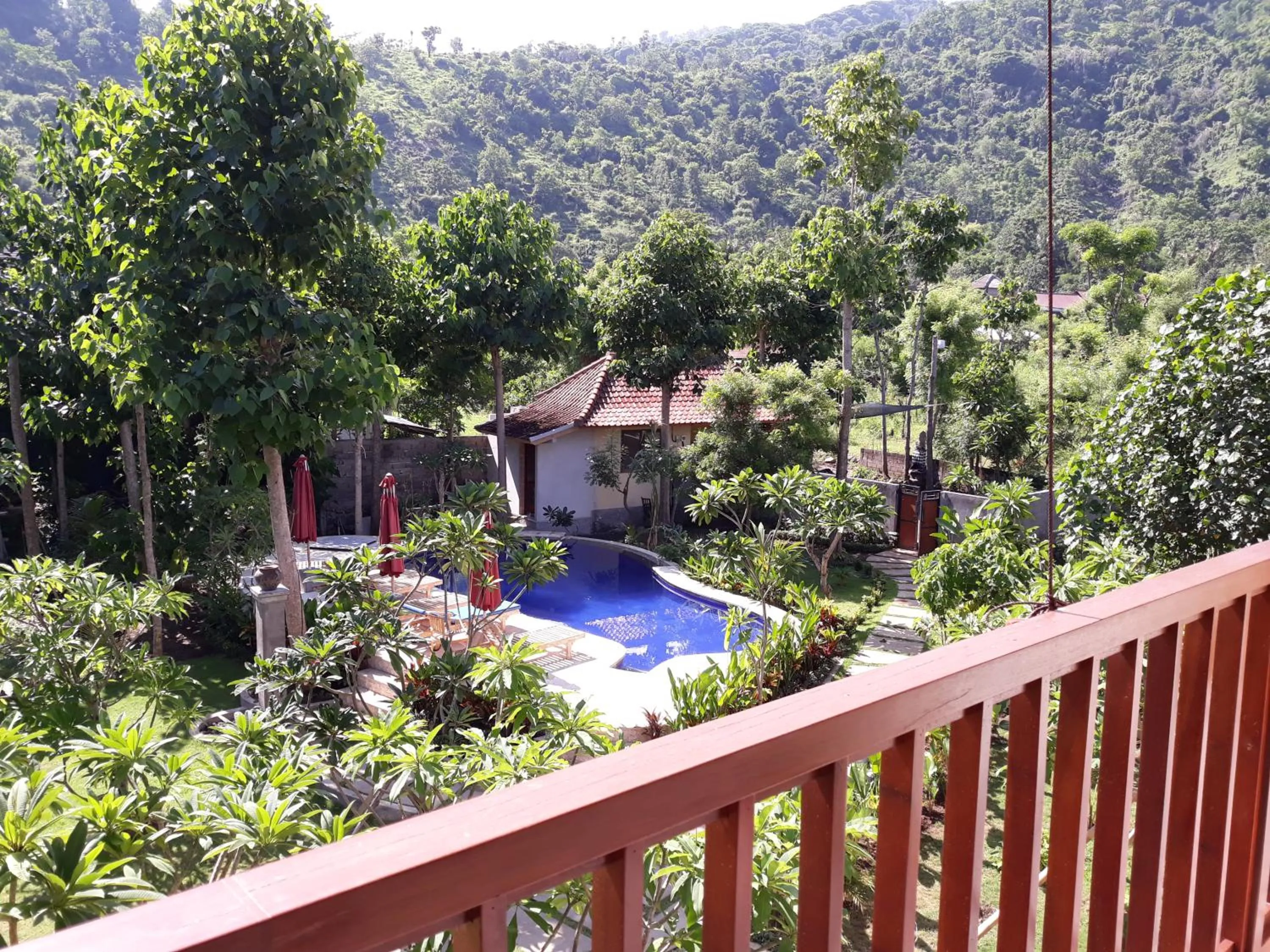 Garden in Jaya Villa