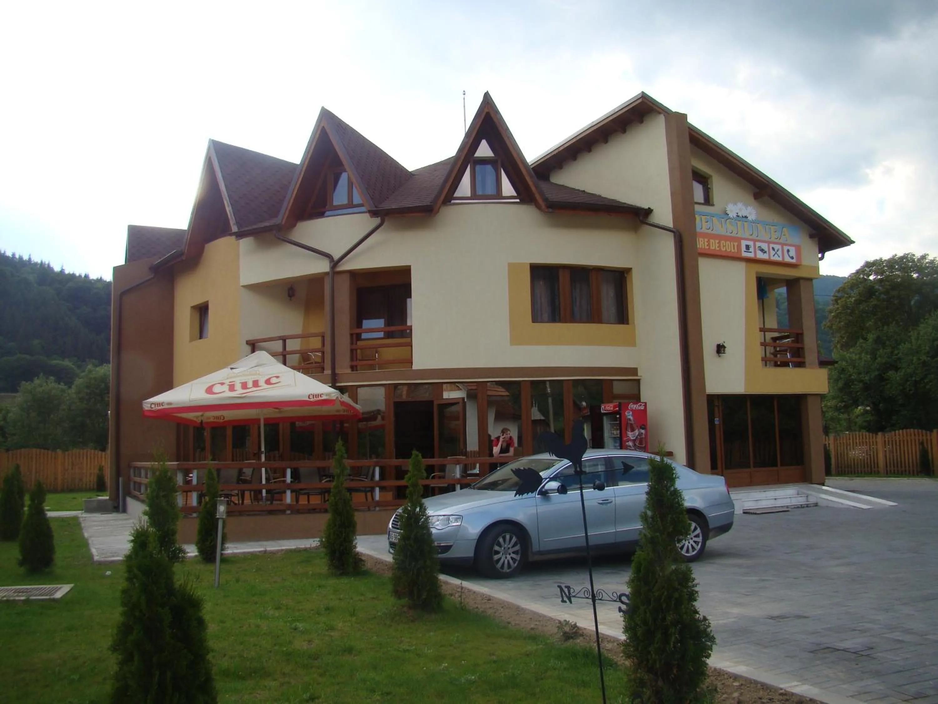 Restaurant/places to eat in Pensiunea Floare de Colţ