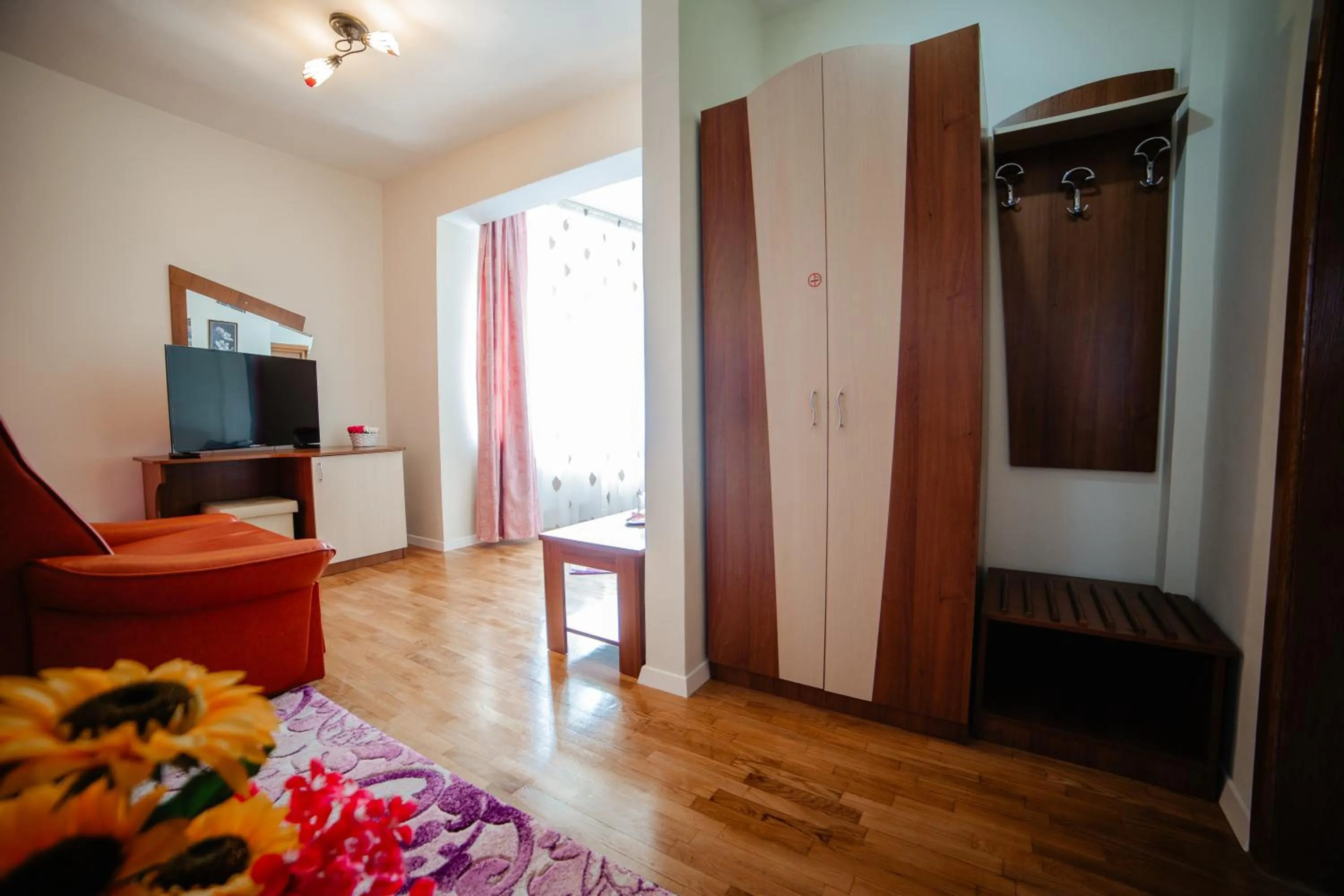 Communal lounge/ TV room in Pensiunea Floare de Colţ