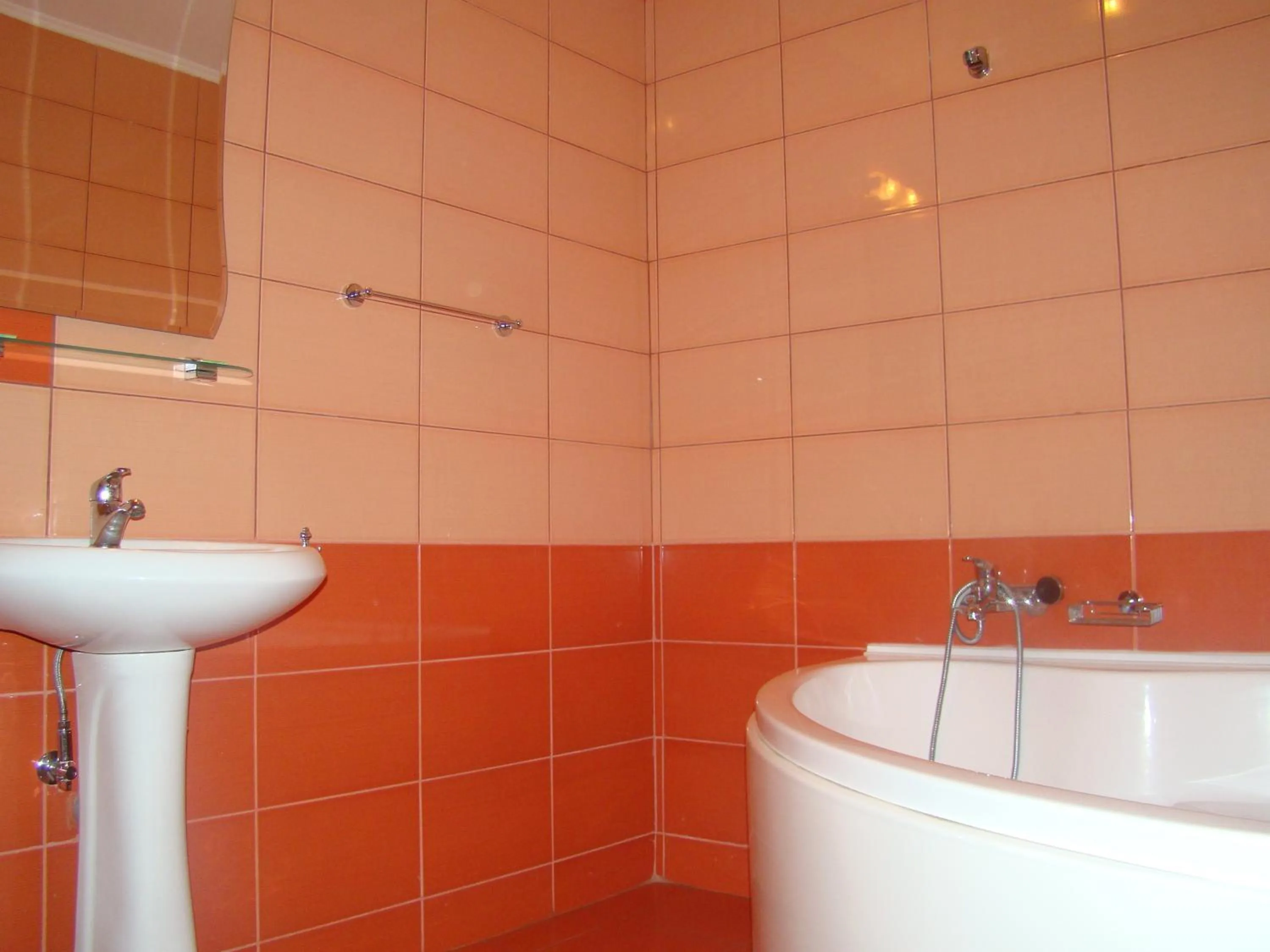 Shower in Pensiunea Floare de Colţ