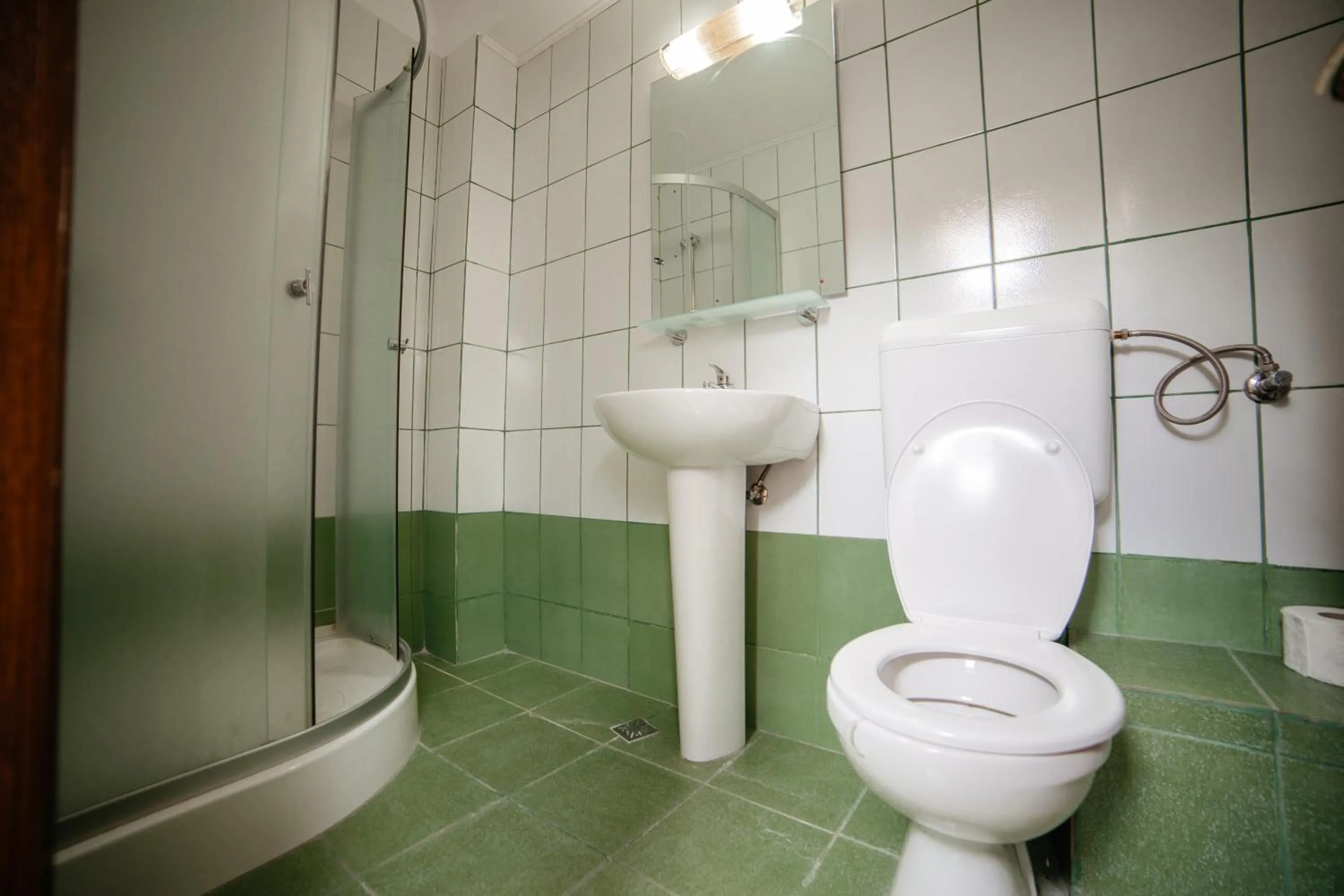 Bathroom in Pensiunea Floare de Colţ