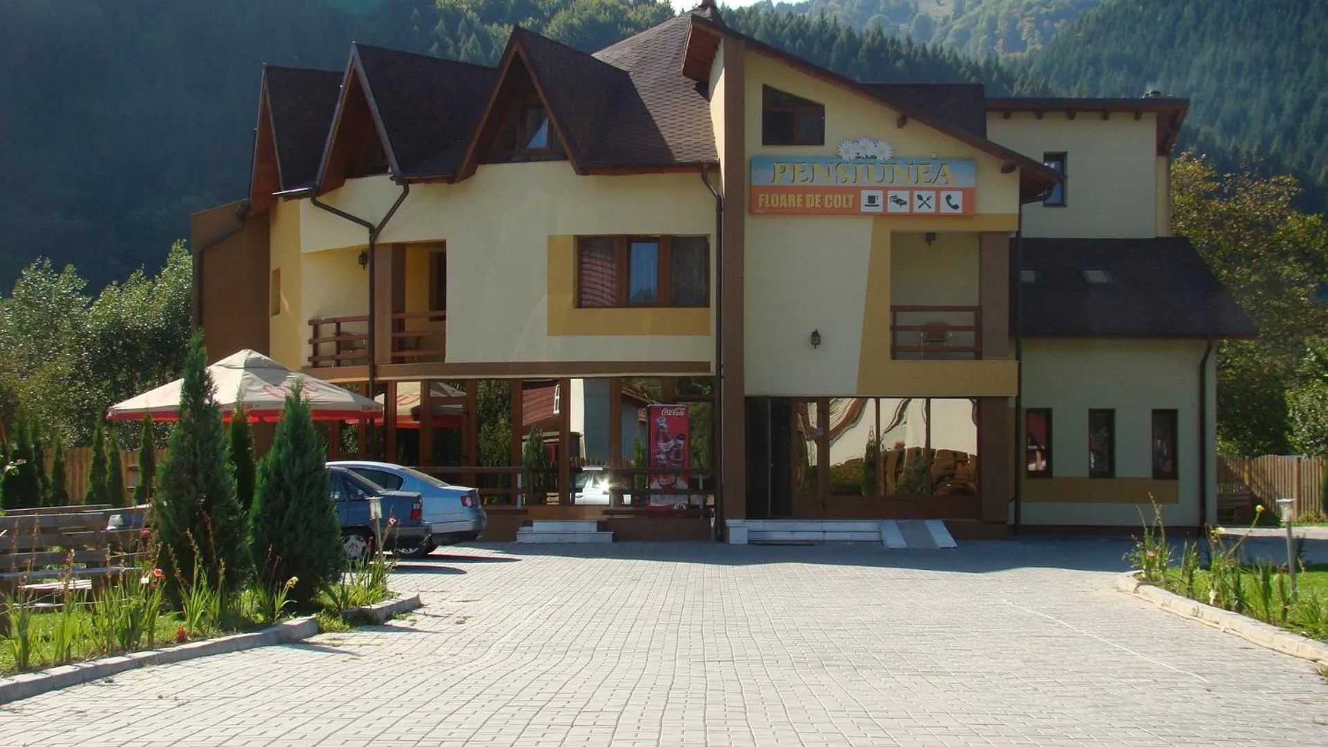 Facade/entrance in Pensiunea Floare de Colţ