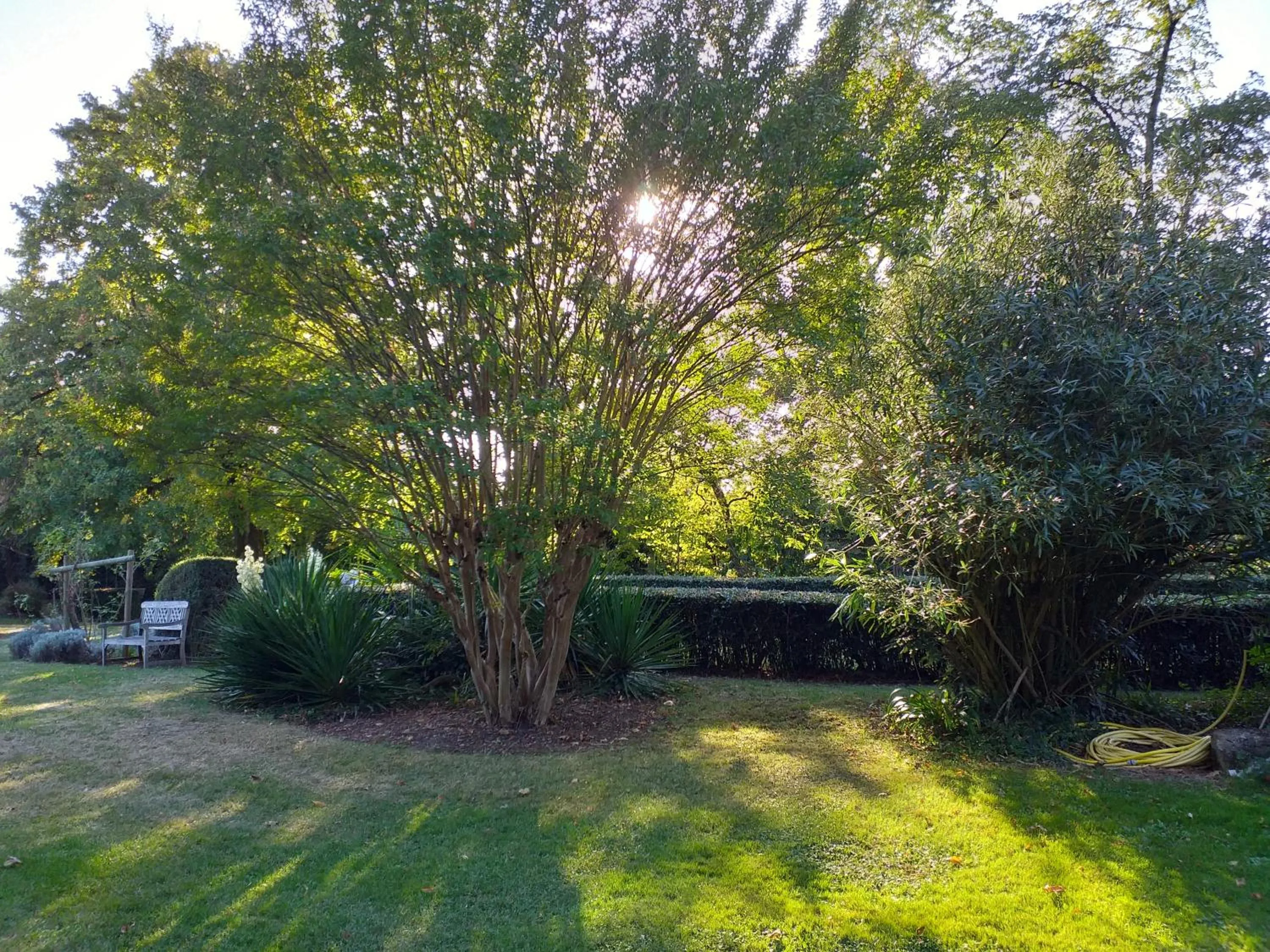 Ecrin des Sens - Manoir en Agenais