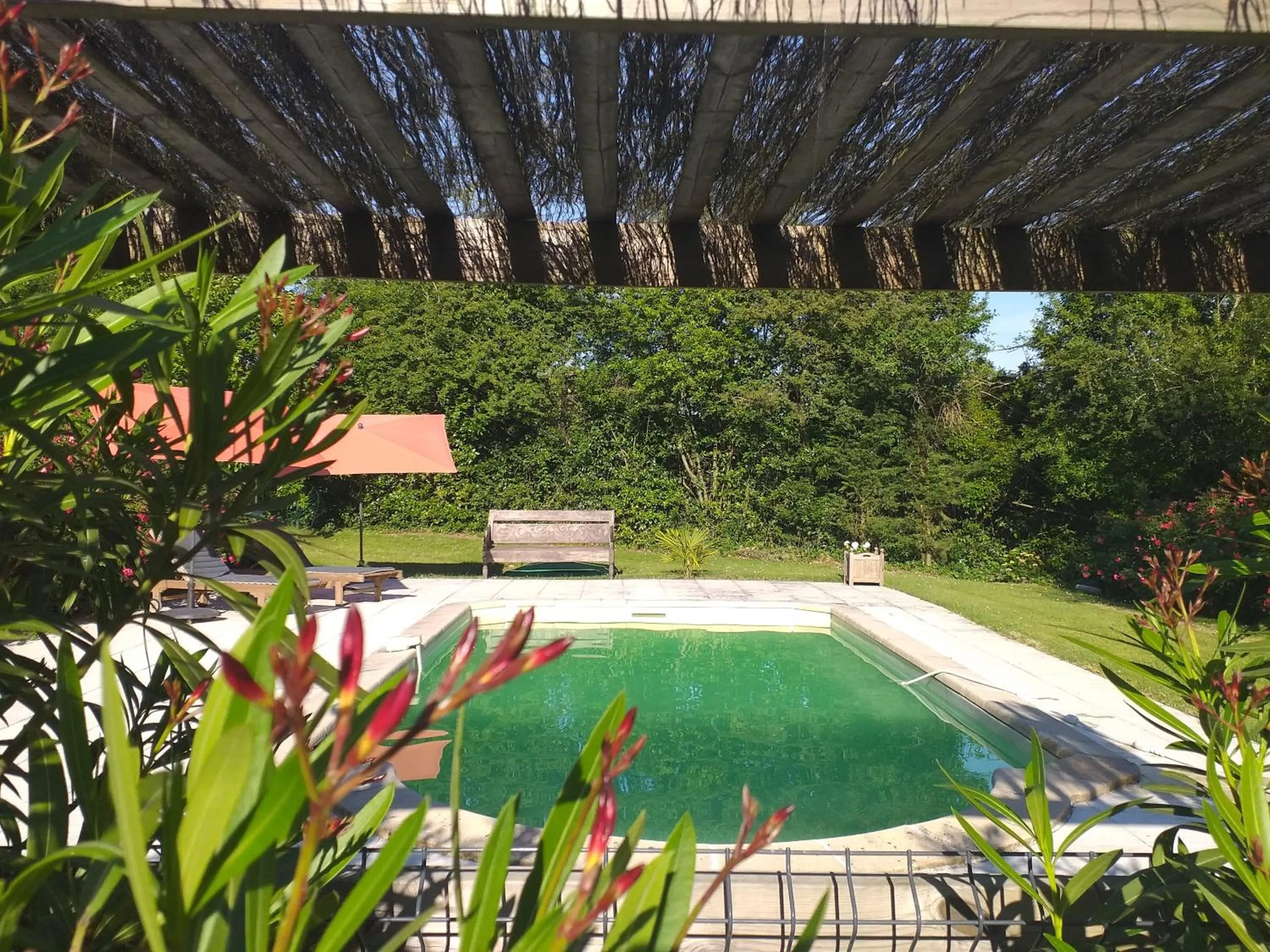 Swimming pool in Ecrin des Sens - Manoir en Agenais