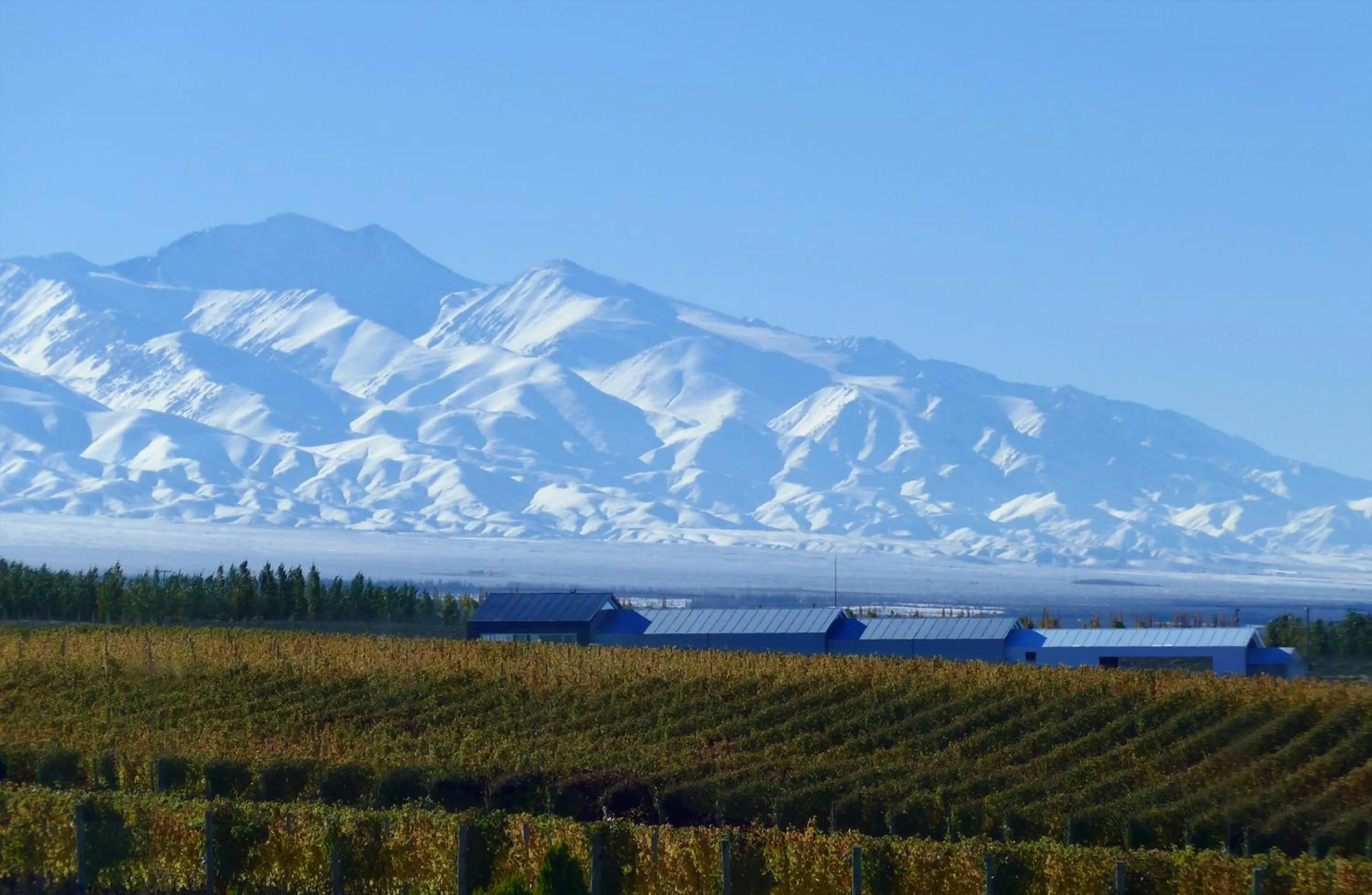 Area and facilities in Casa de Uco Vineyards and Wine Resort