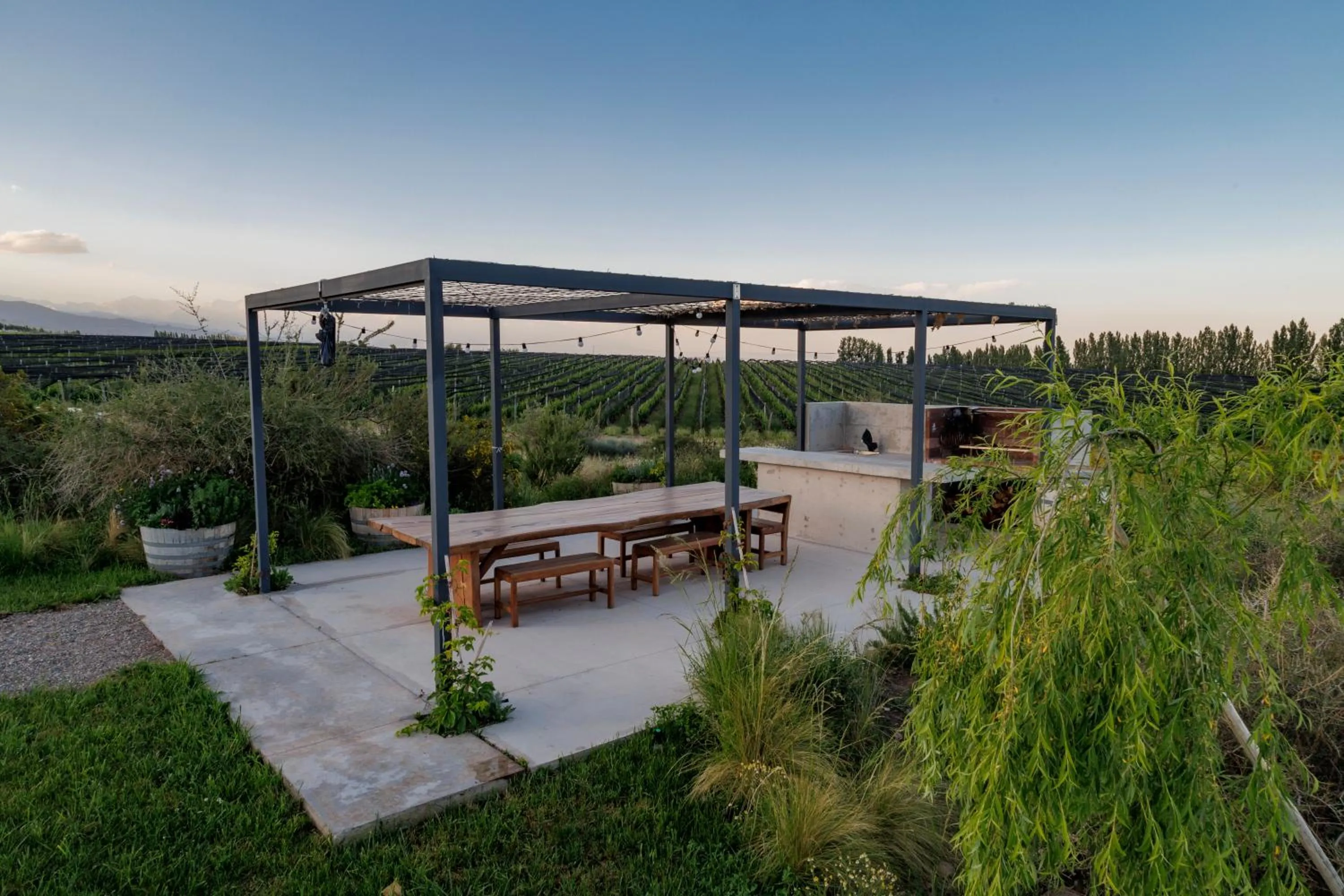 Off site in Casa de Uco Vineyards and Wine Resort