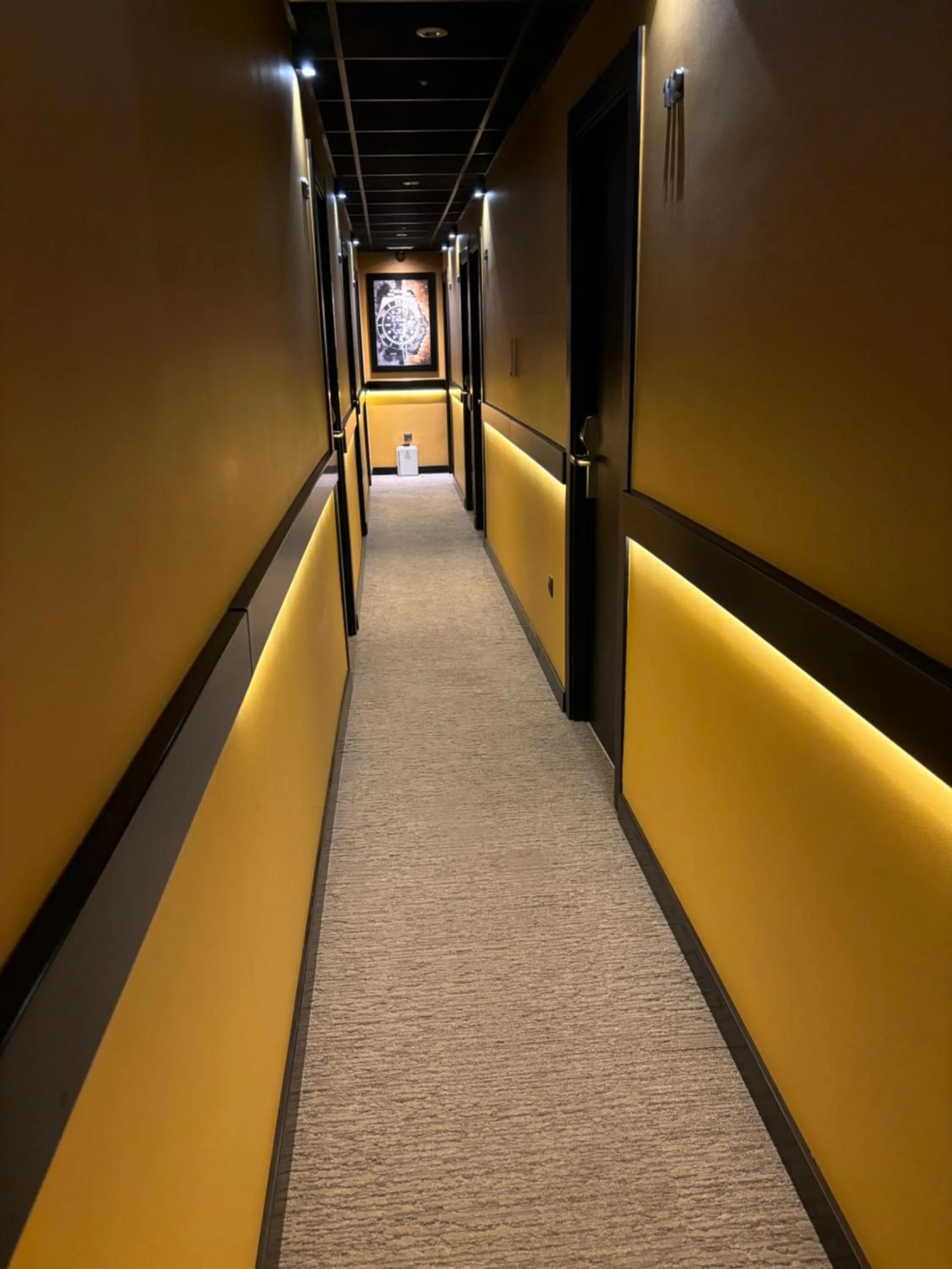 Area and facilities in DAOS Suites & Terrace Marbella