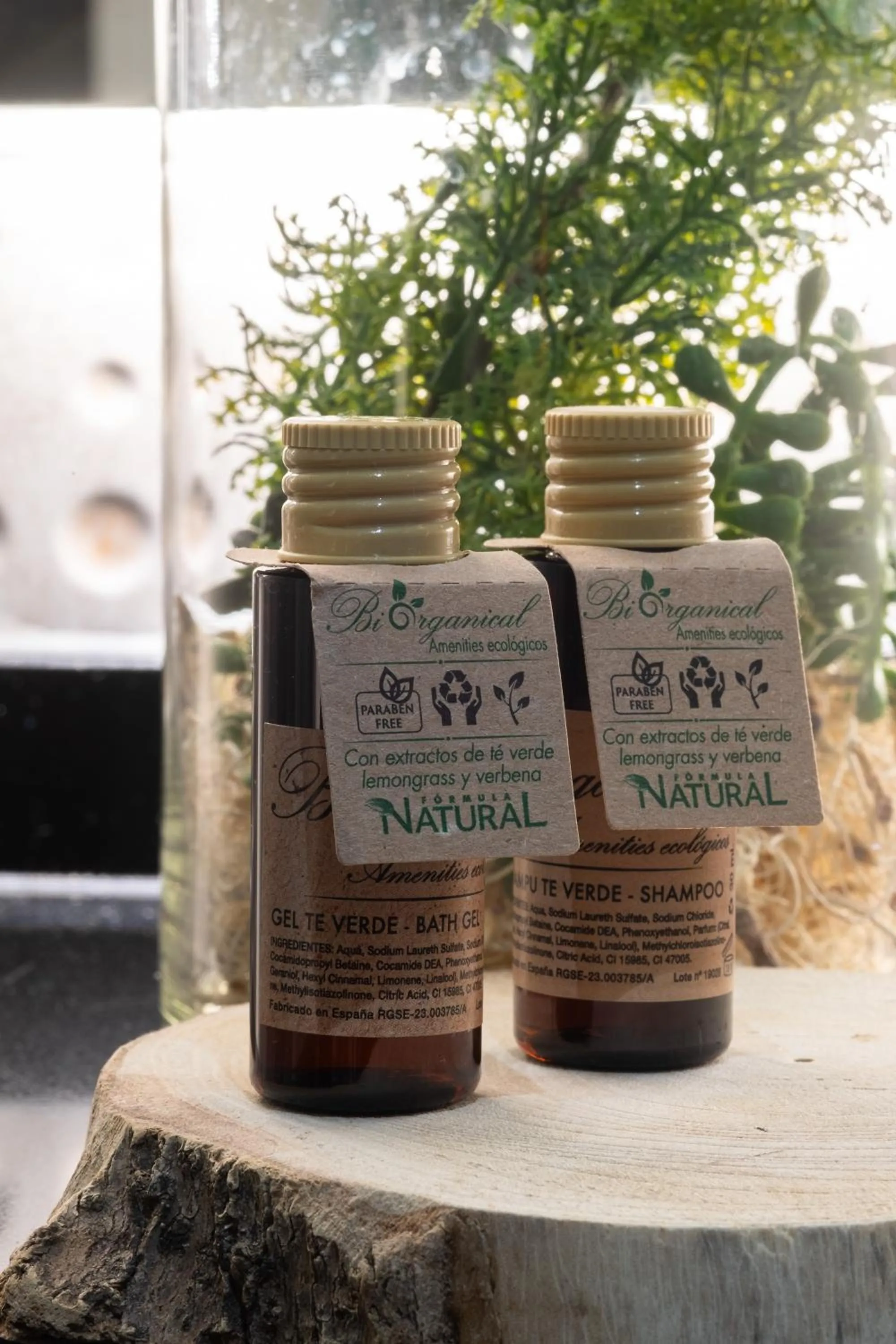 Garden in DAOS Suites & Terrace Marbella