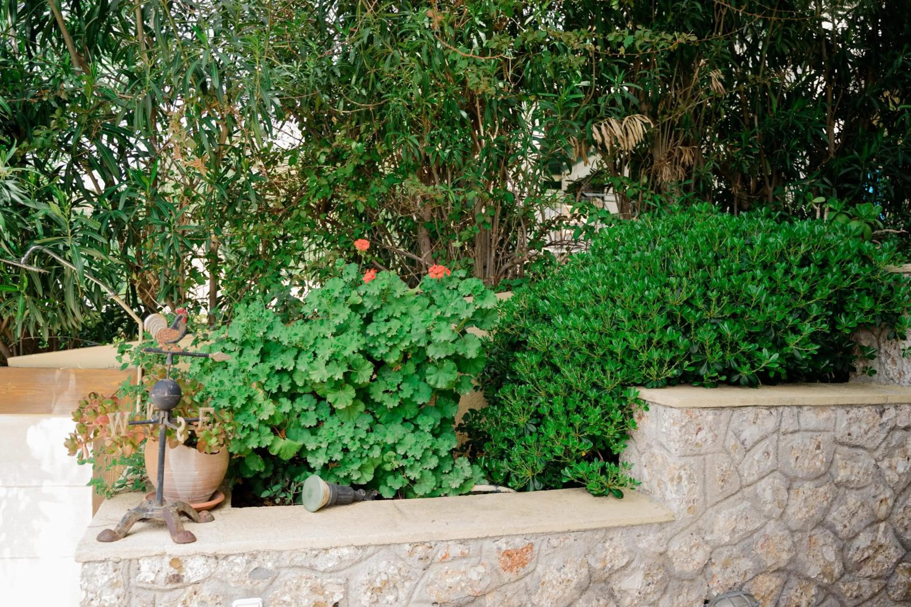 Property building in PLEIADES lUXURY APARTMENTS