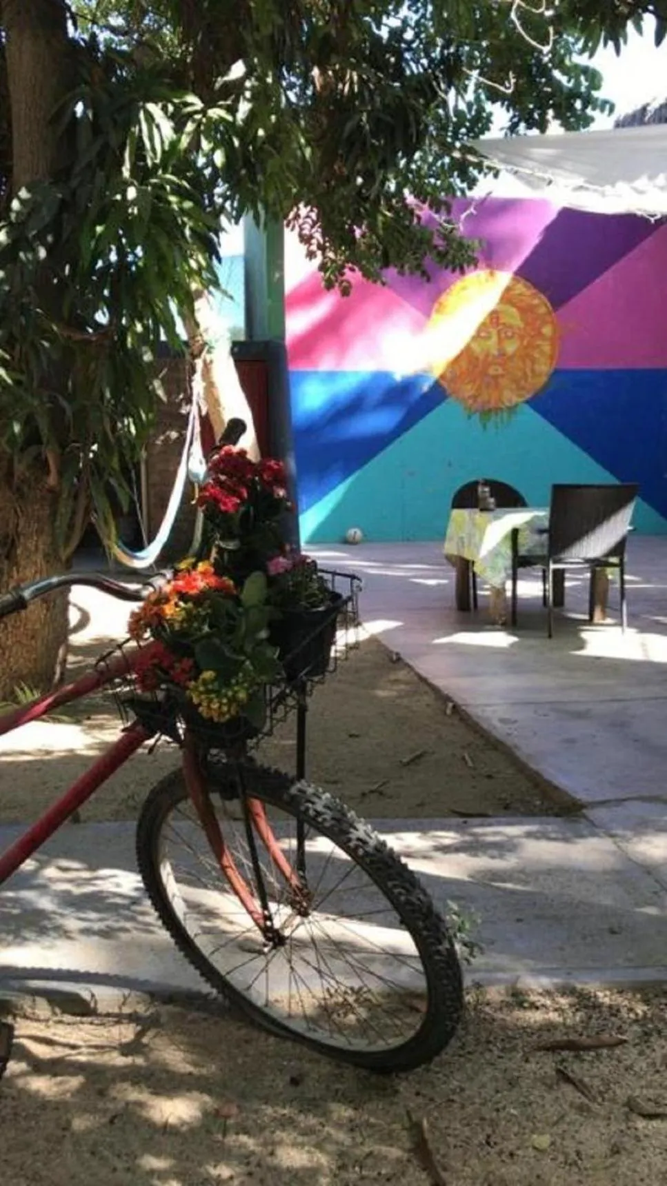 Patio in Hotel Posada Señor Mañana