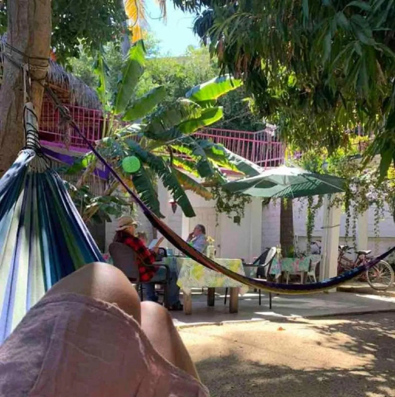 Patio in Hotel Posada Señor Mañana