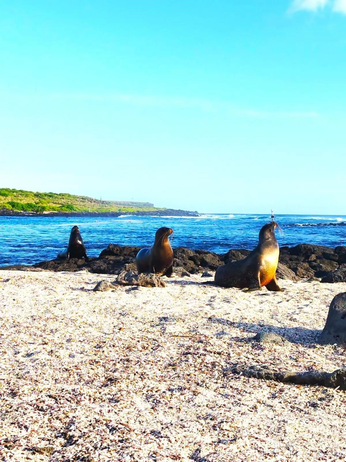 Other in Hotel Los Algarrobos