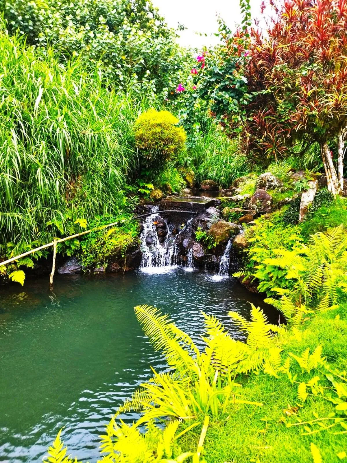 Other in Hotel Los Algarrobos