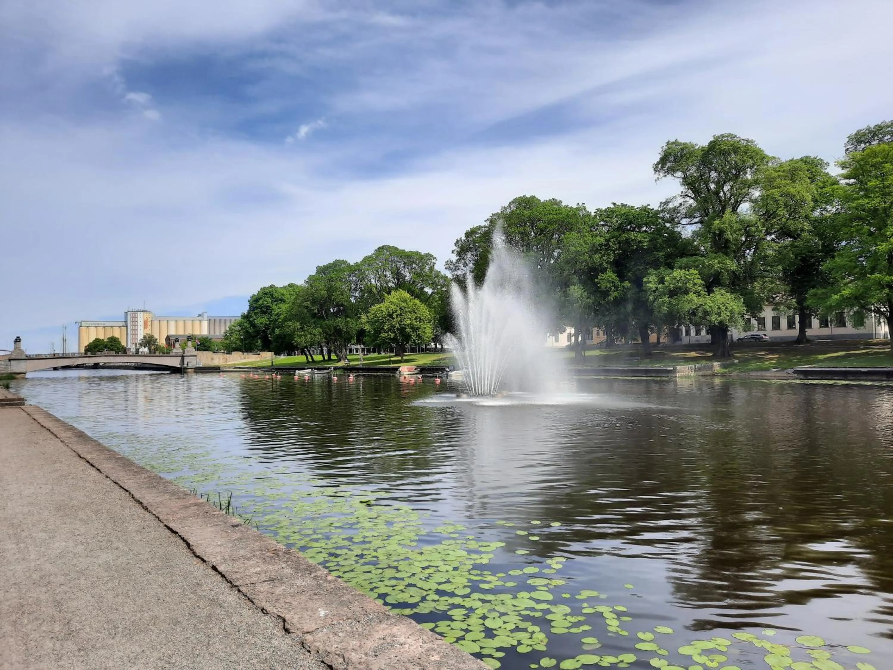 Natural landscape in Broholm Bed&Breakfast