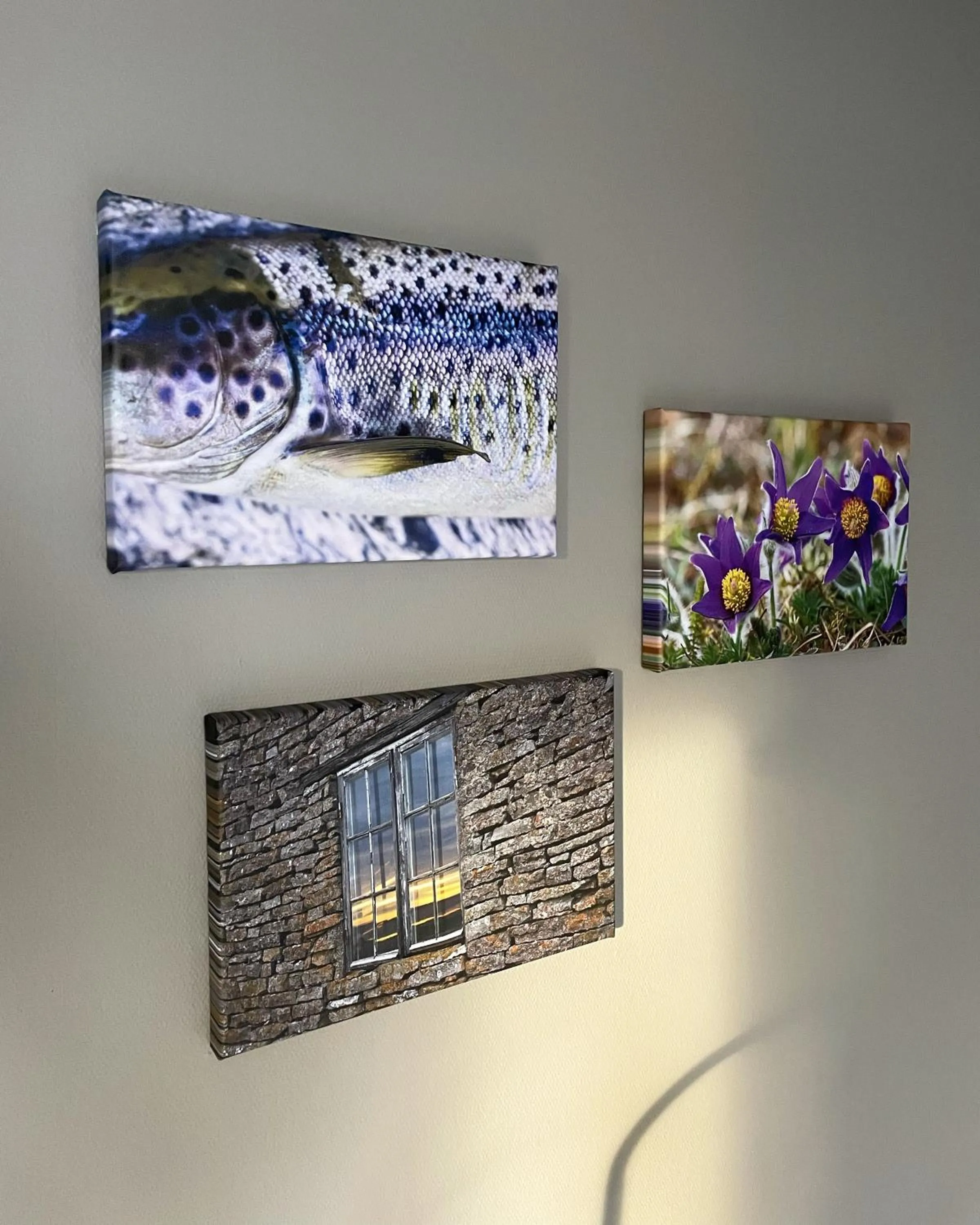 Photo of the whole room in Broholm Bed&Breakfast