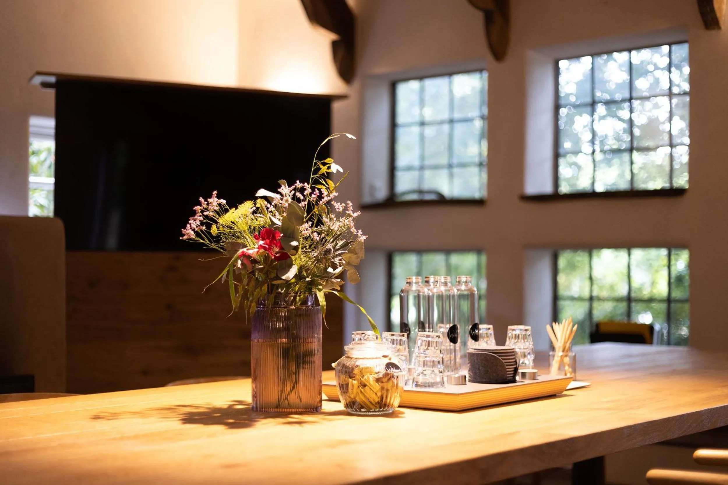 Meeting/conference room in Biohotel WildLand Natural Resort