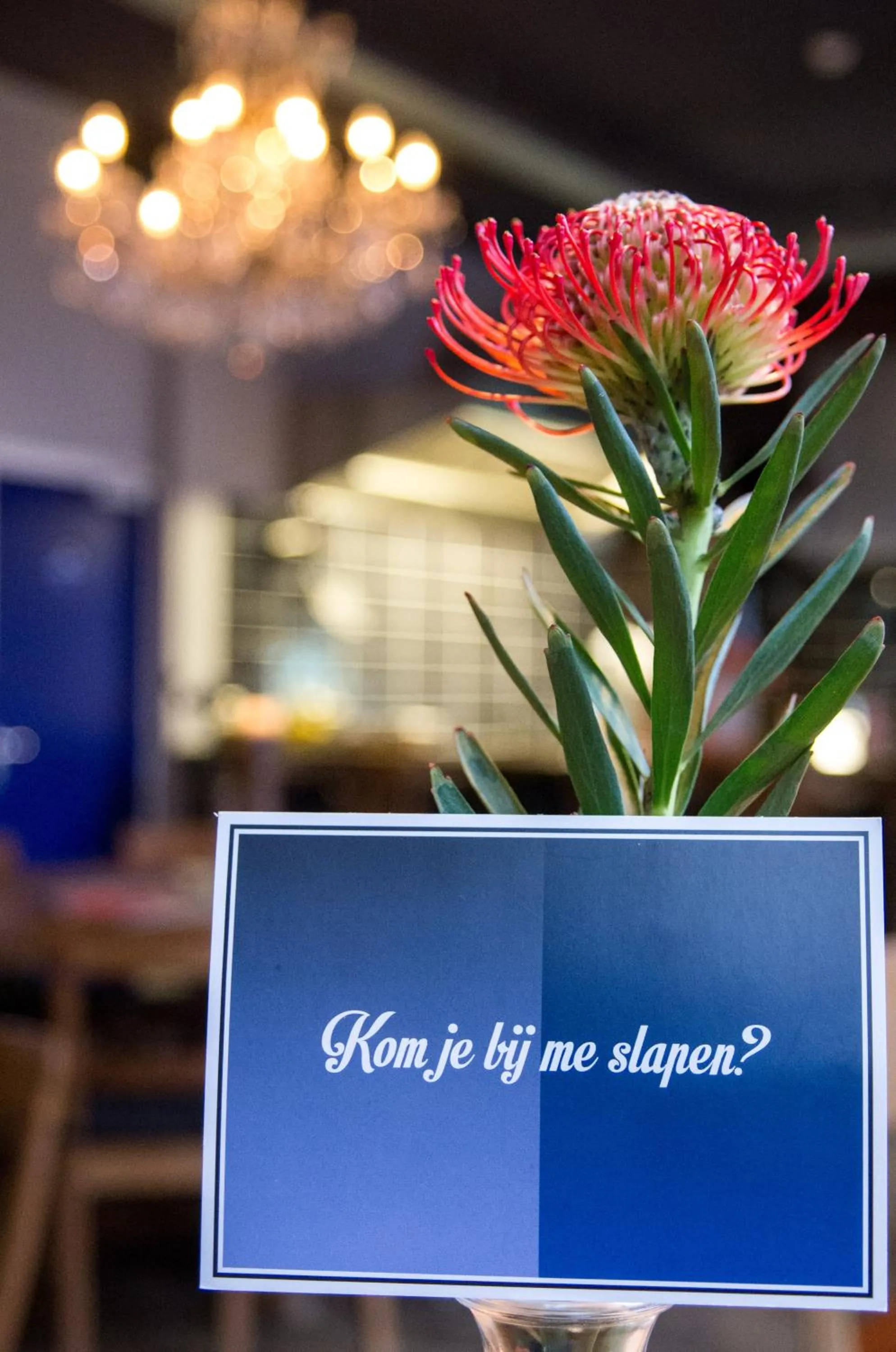 Lounge or bar in Kings Inn City Hostel