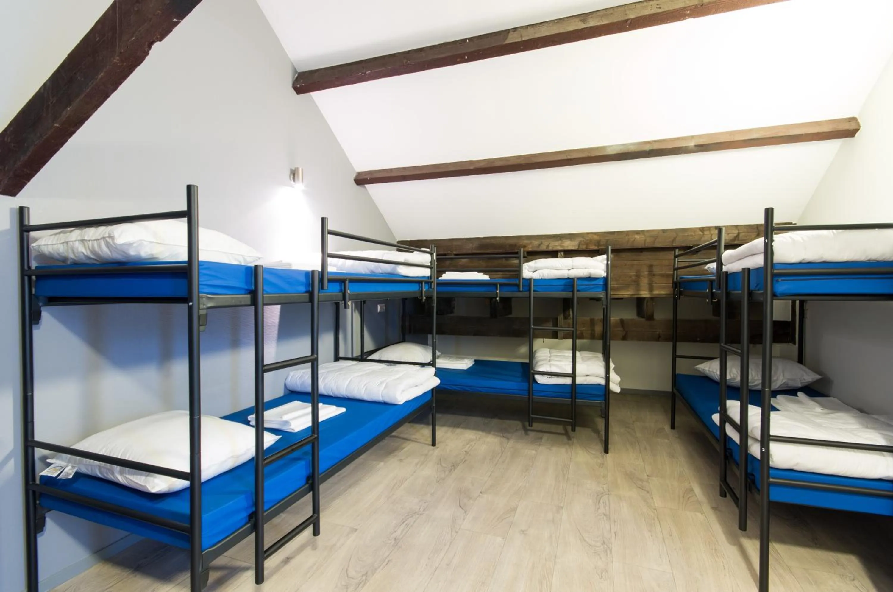 Bed in Kings Inn City Hostel
