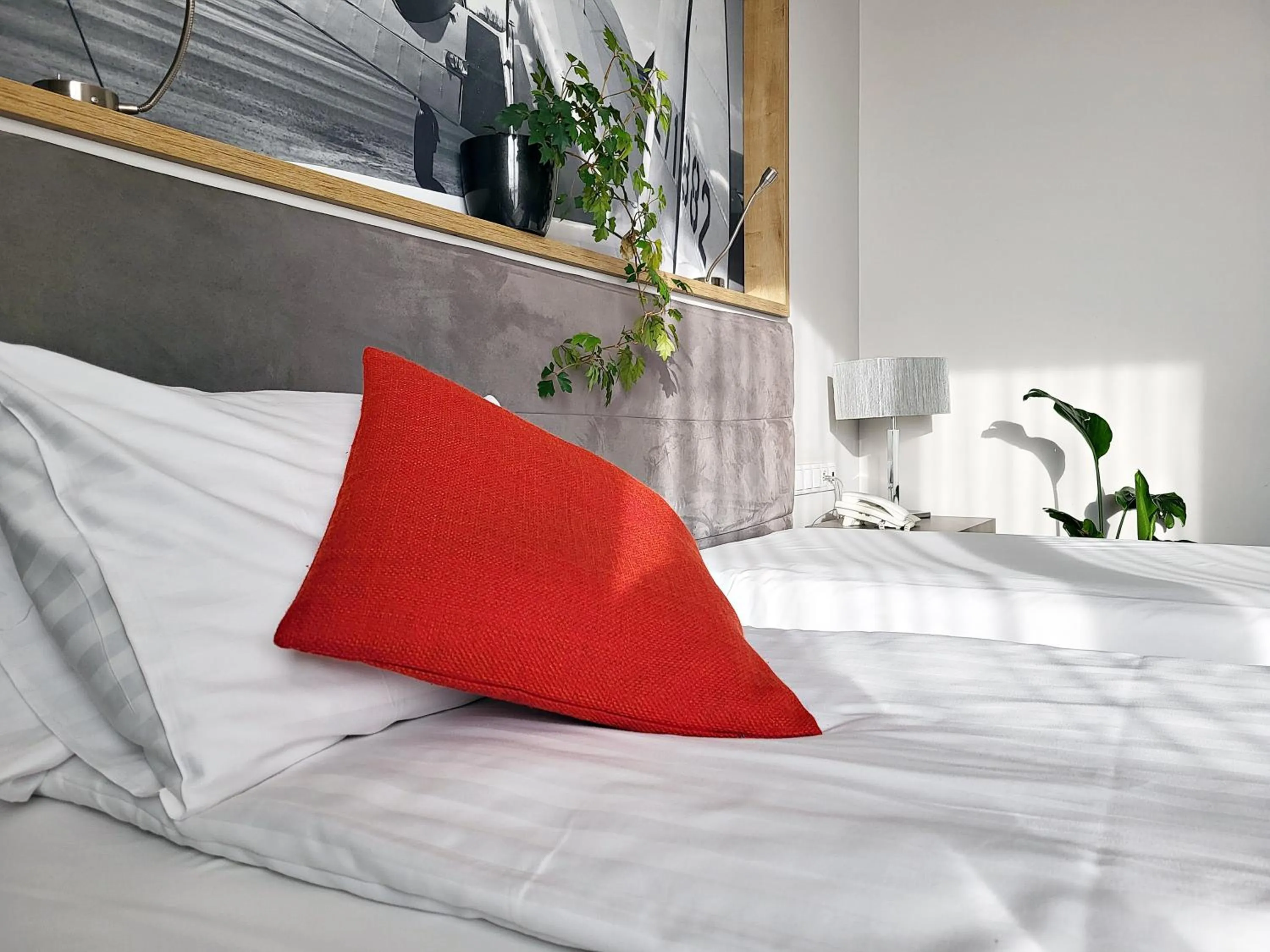 Other, Bed in Hotel Forza