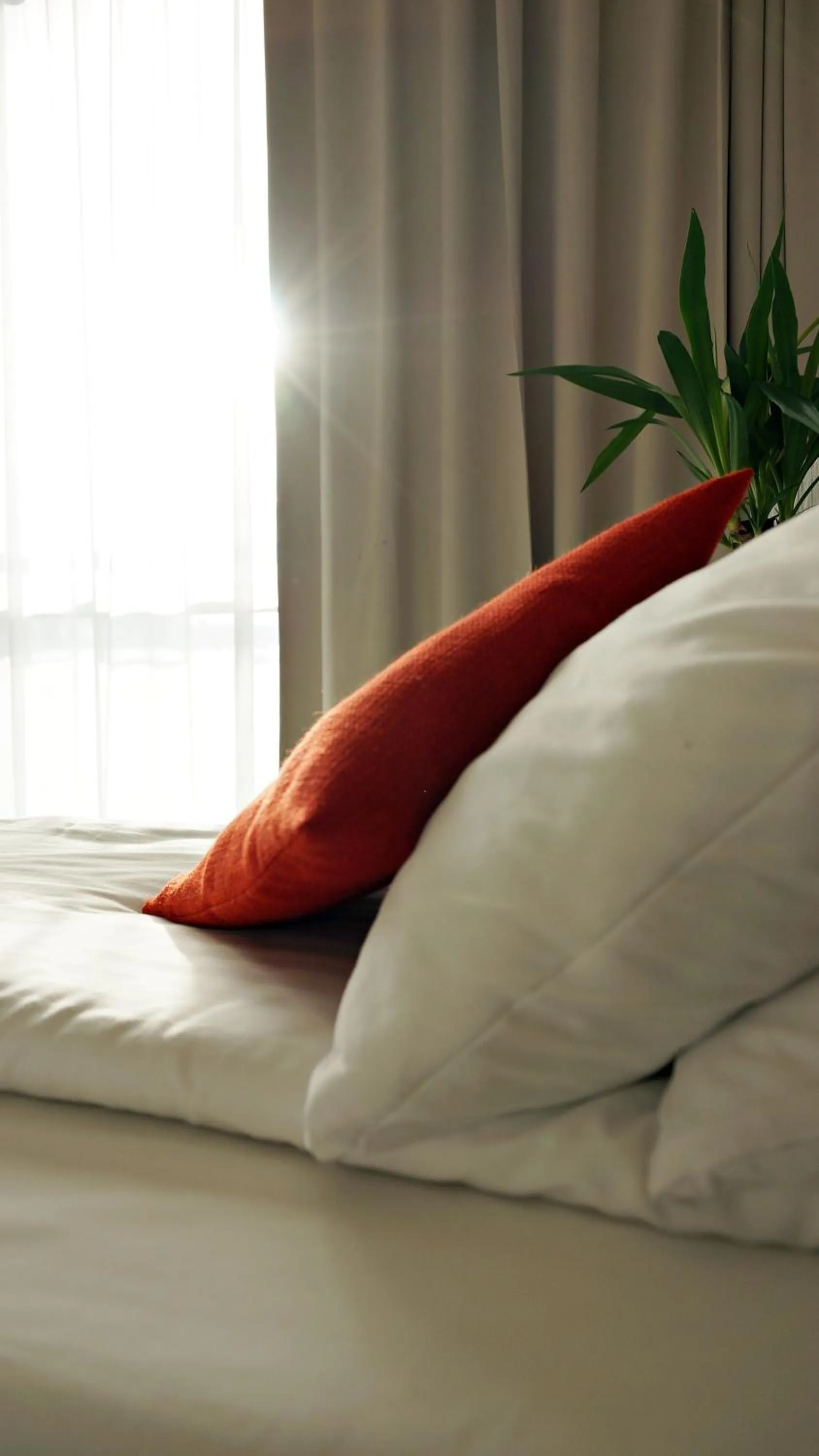 Other, Bed in Hotel Forza