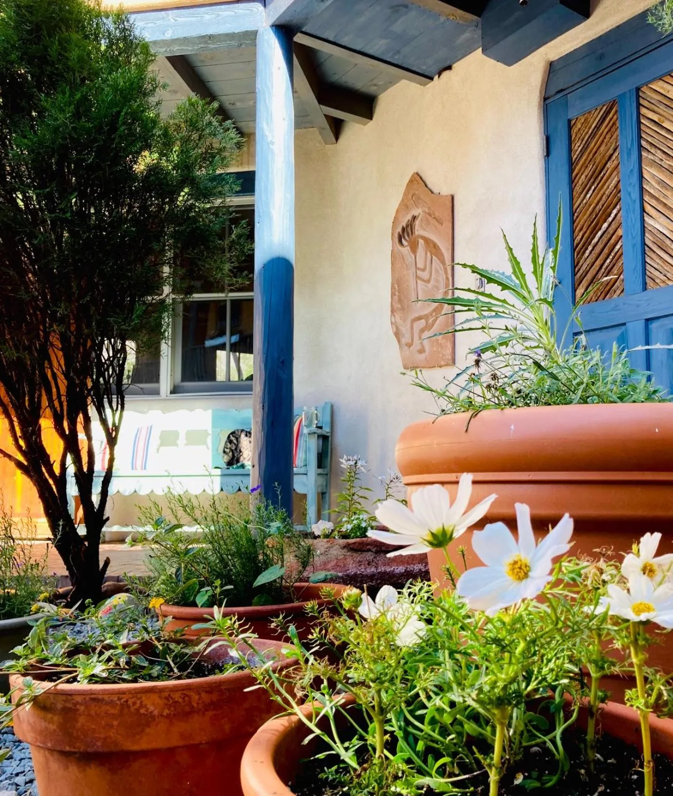 Other in Guadalupe Inn