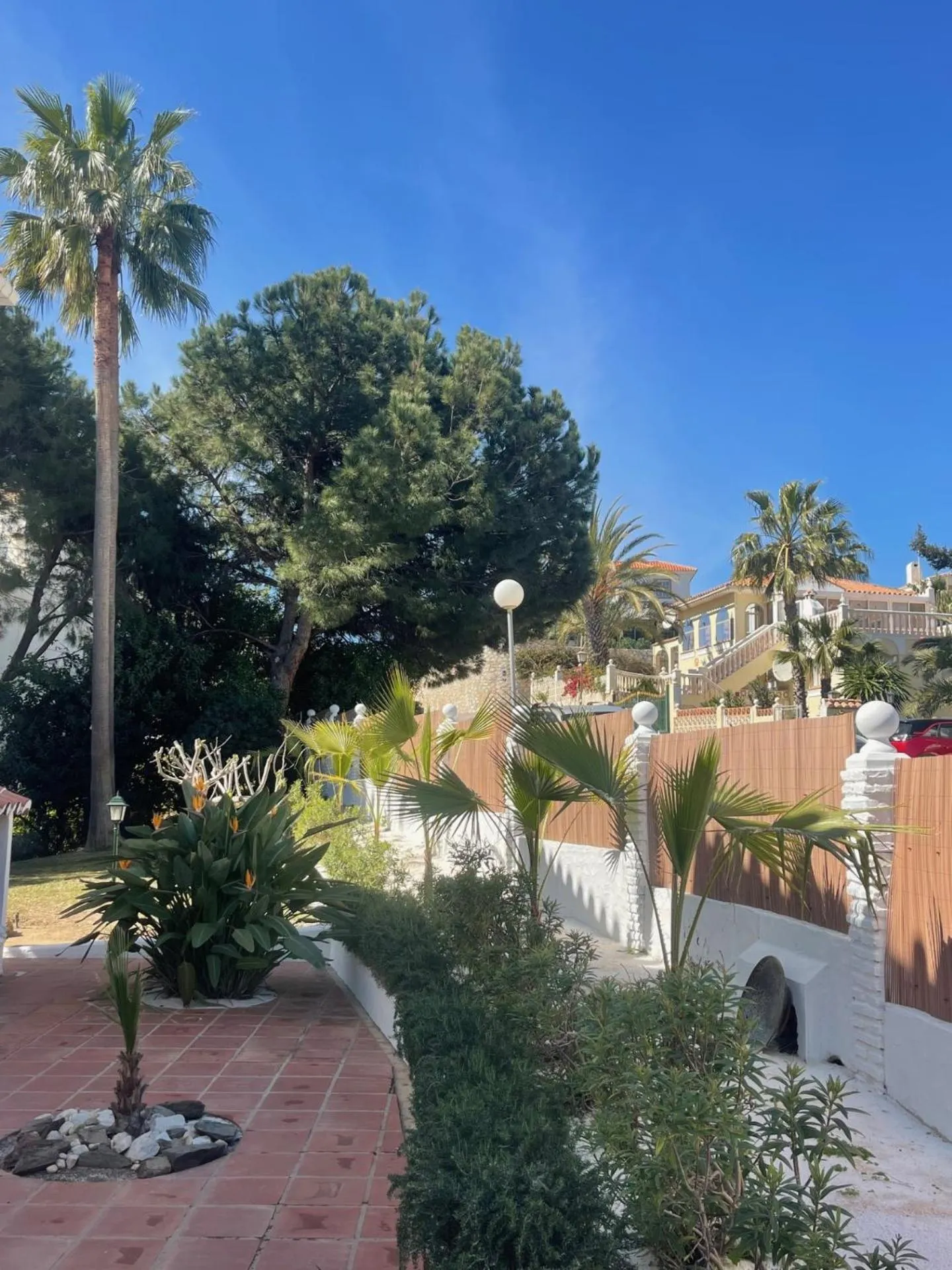 Garden in Casa Flora - Mijas Costa - Andalusië