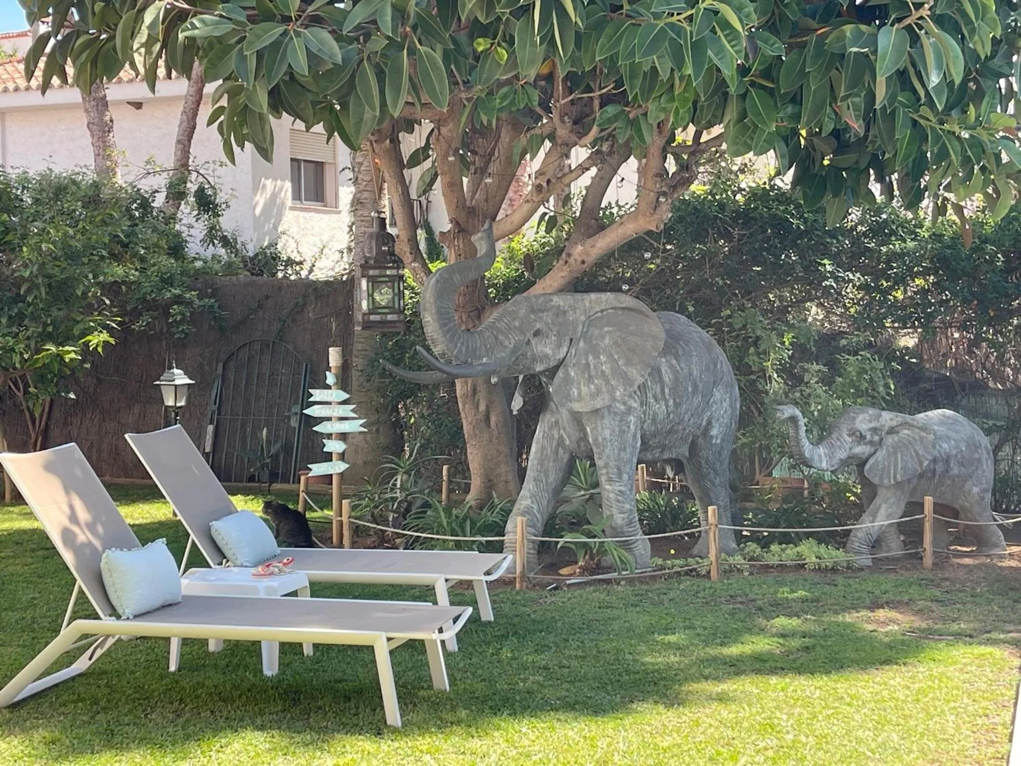 Garden in Casa Flora - Mijas Costa - Andalusië