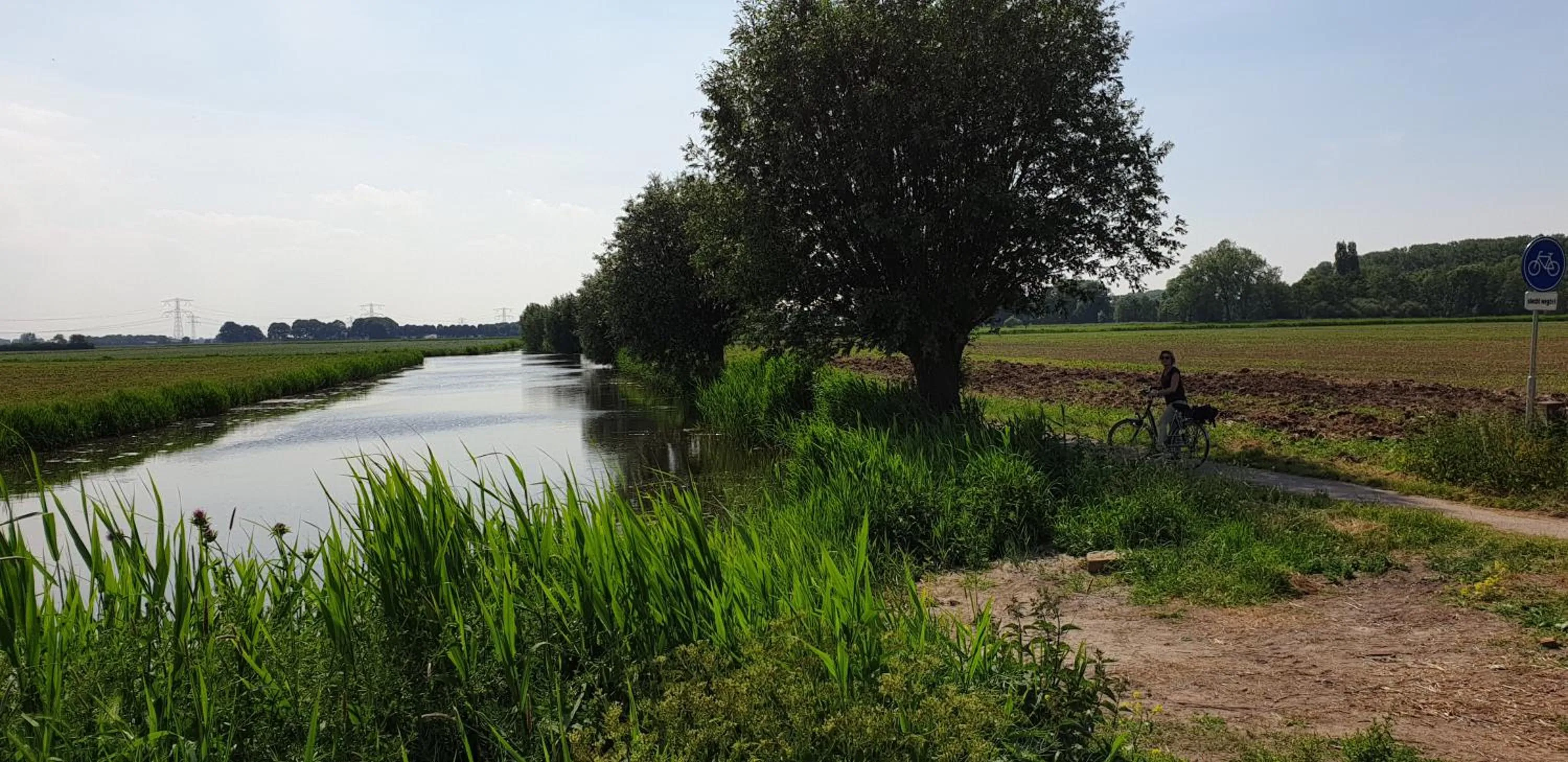 Natural landscape in B&B Zen