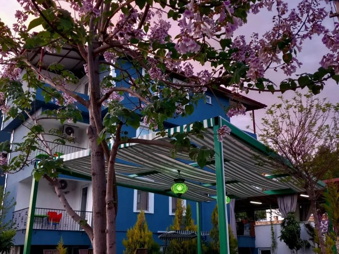 Property building in Paradise House