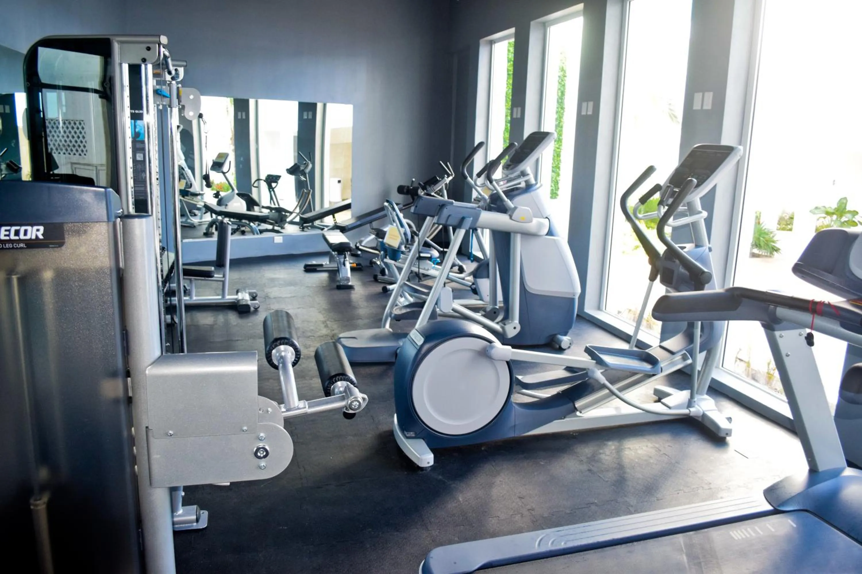 Fitness centre/facilities in Nuevo estudio a pie de playa, vistas increibles, alberca, gym jacuzi, seguridad, 3503