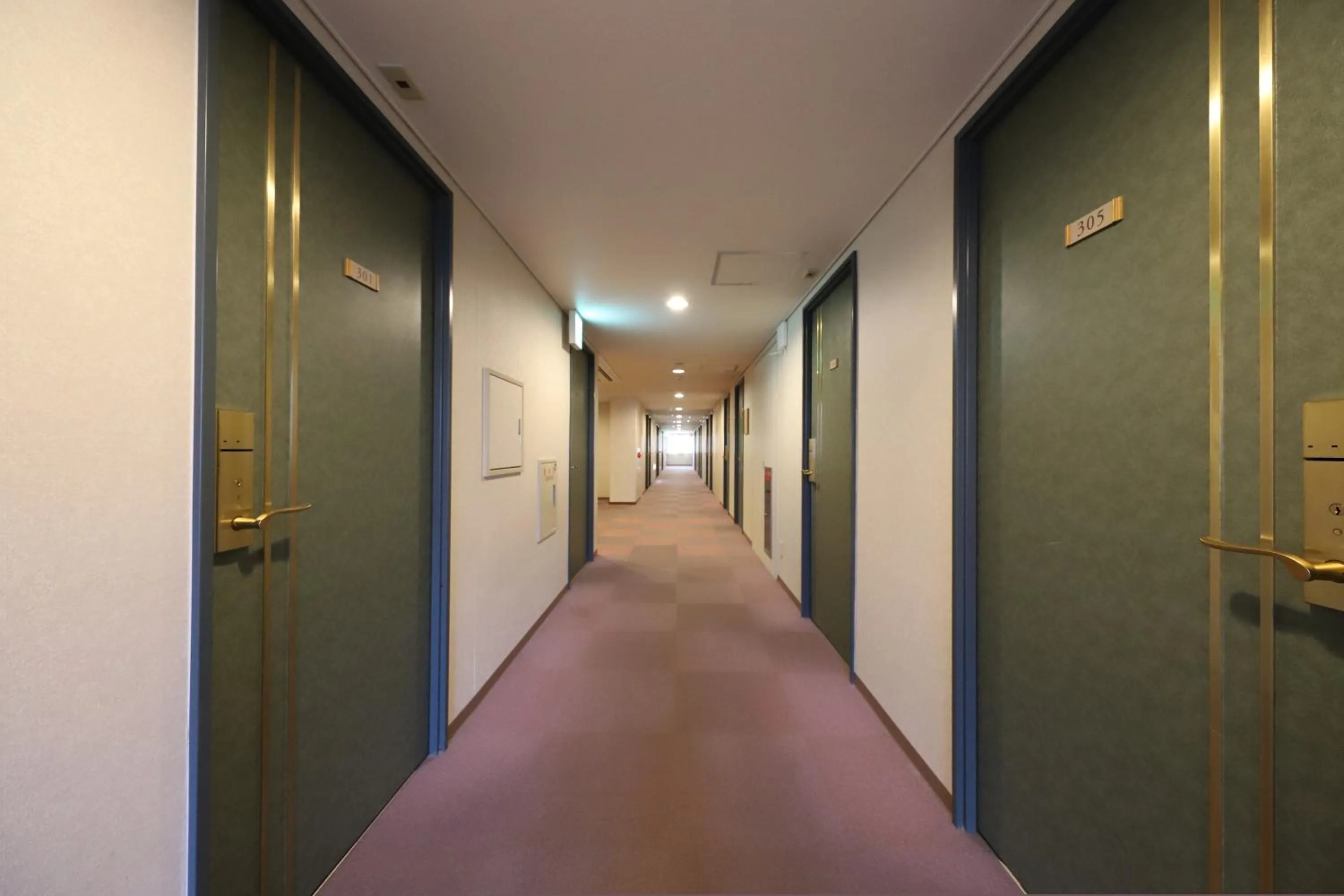 Smile Hotel Takaoka Ekimae