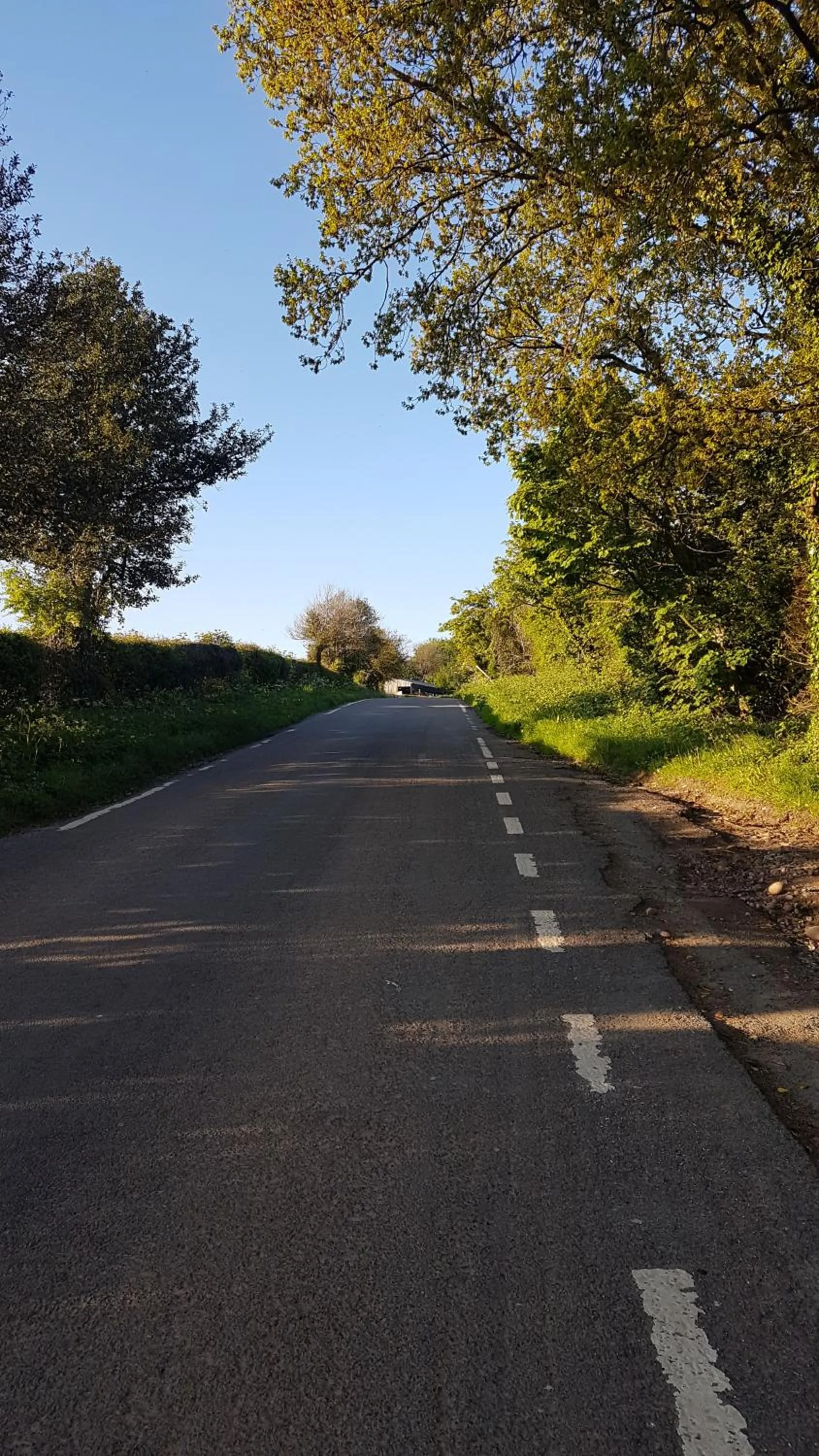 Neighbourhood in Debonair bnb @33