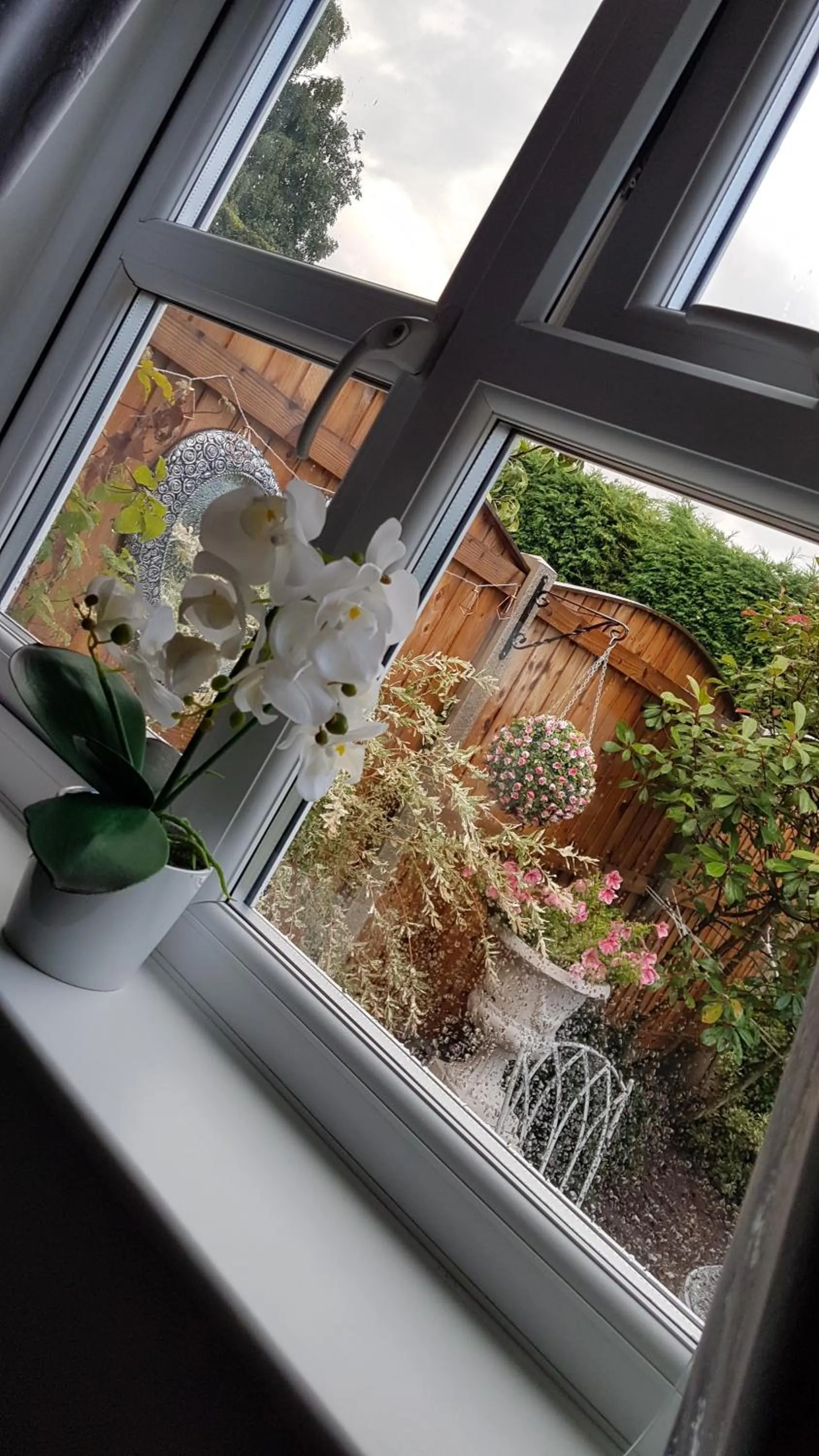 Garden view in Debonair bnb @33