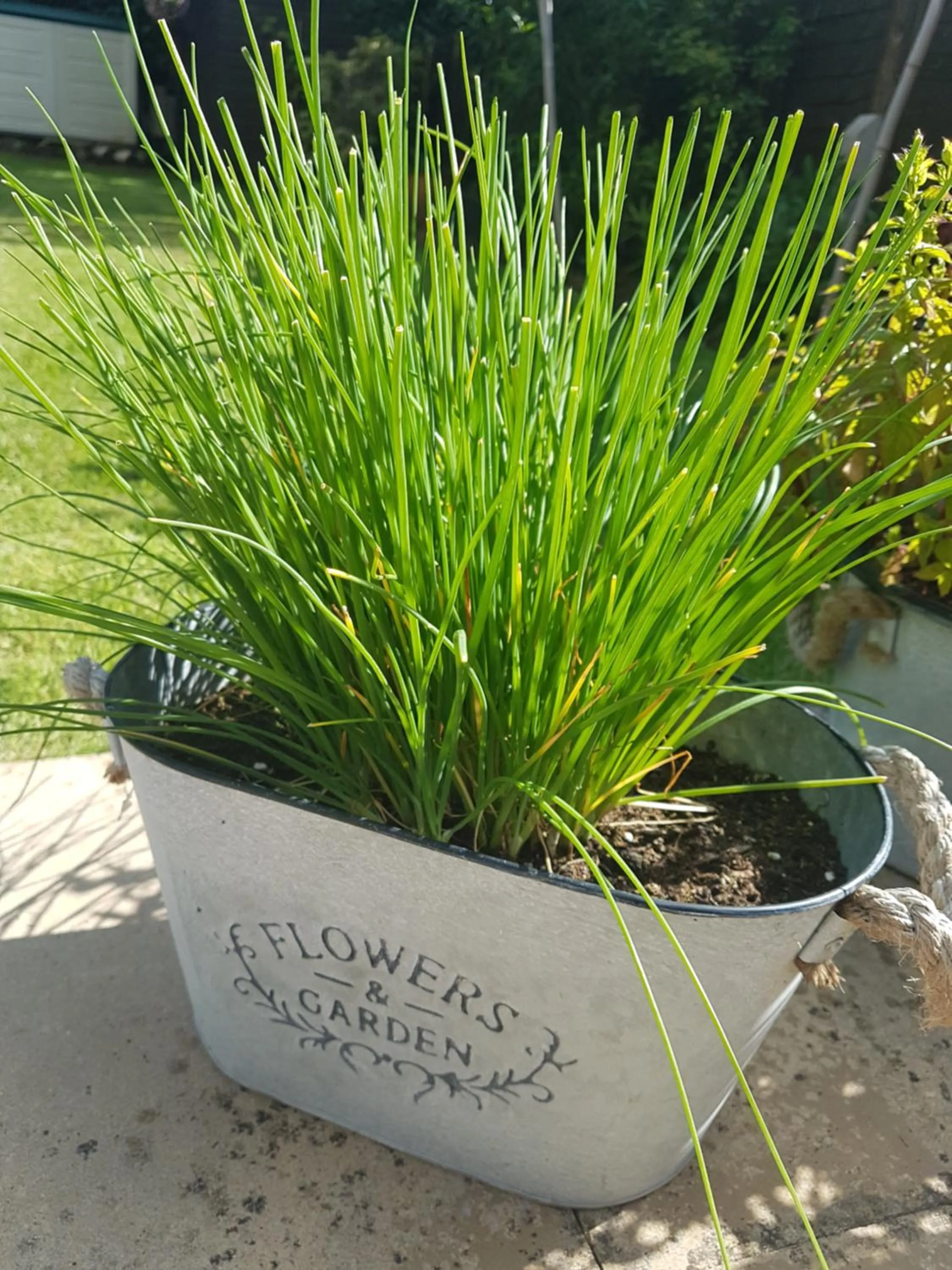 Food in Debonair bnb @33