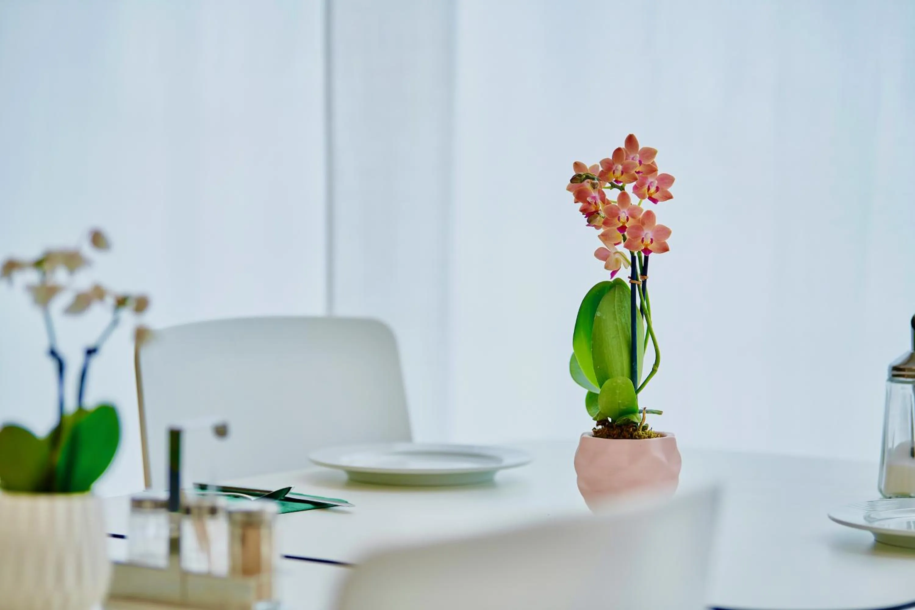 Breakfast, Dining Area in BALEGRA City Hotel Basel Contactless Self Check-in