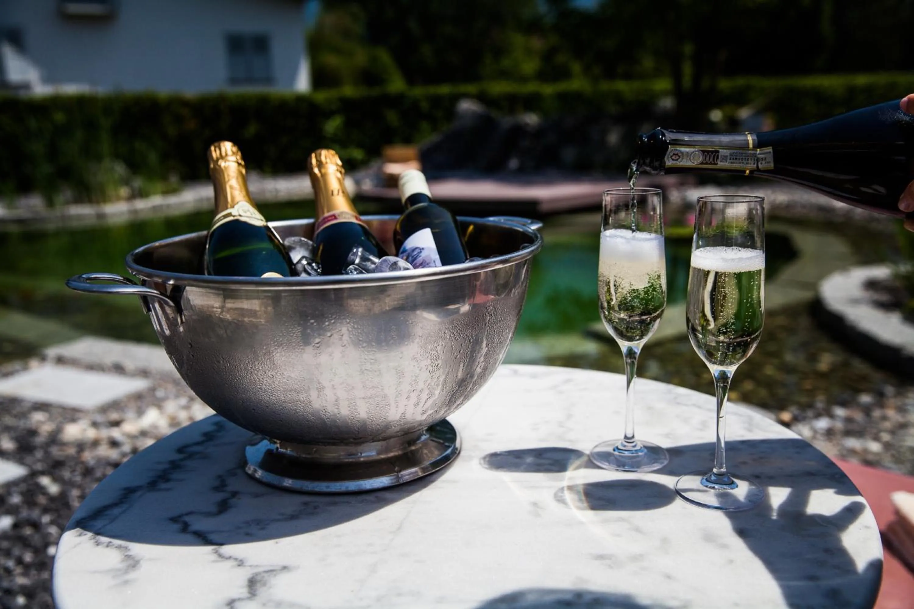 Alcoholic drinks in Carlton-Europe Vintage Adults Hotel