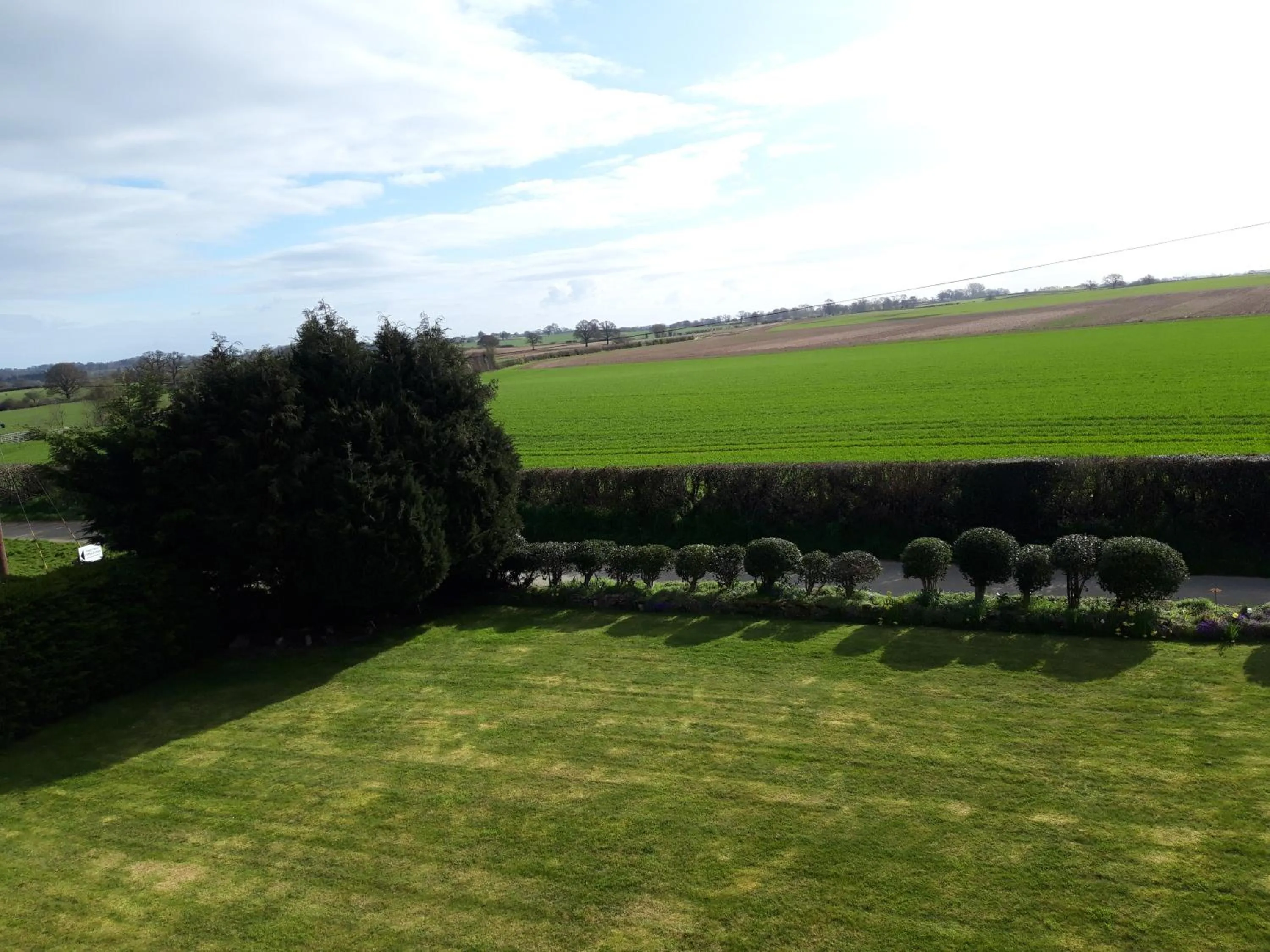 Garden in Upper Eyton Farmhouse B&B