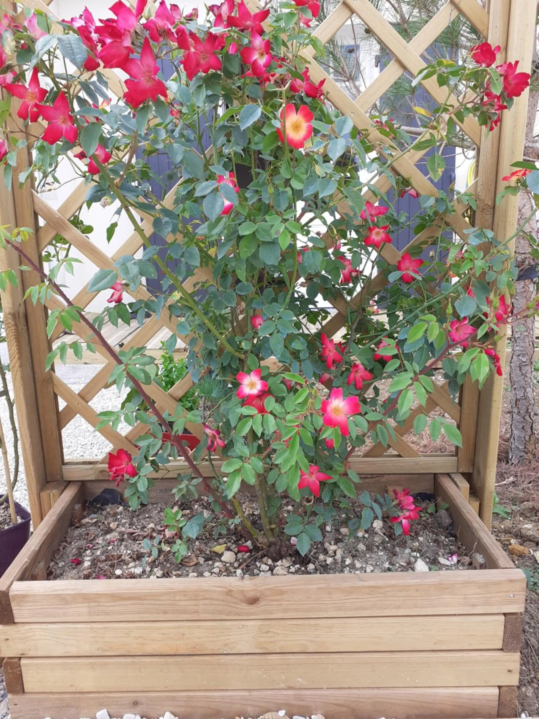 Garden in Le Clos des Passiflores - Chambres et Table d'Hôtes