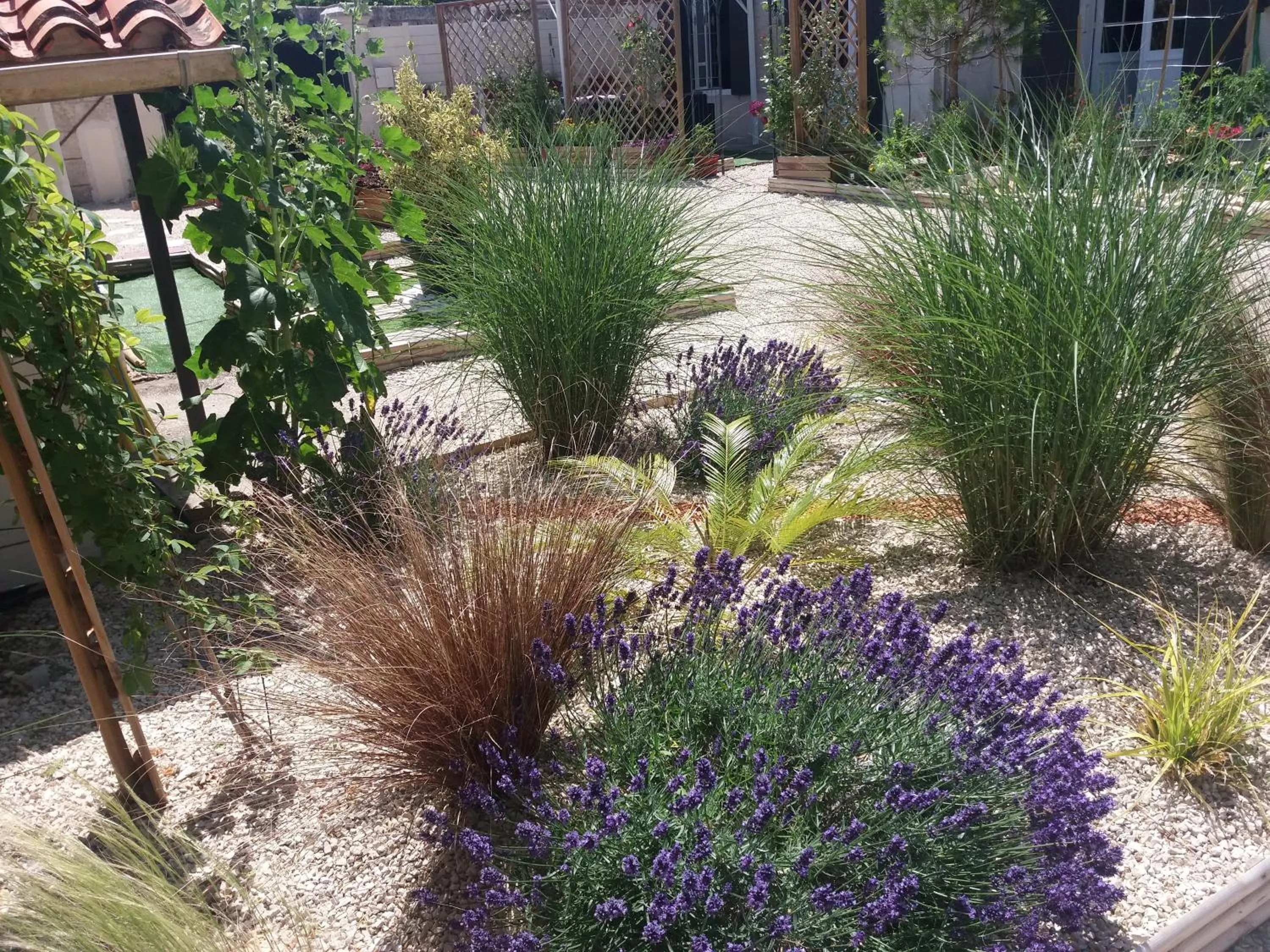 Garden in Le Clos des Passiflores - Chambres et Table d'Hôtes