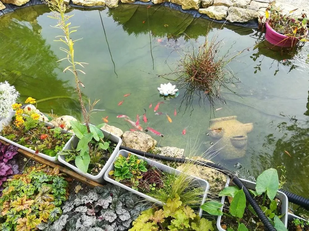 Le Clos des Passiflores - Chambres et Table d'Hôtes