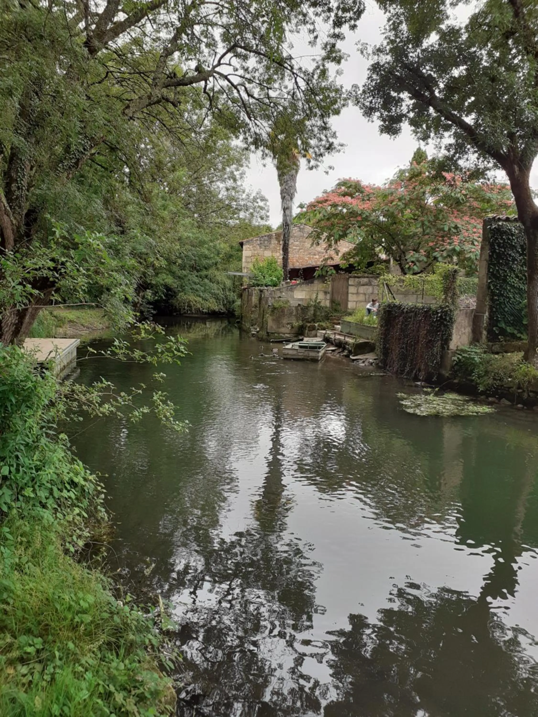 Natural landscape in Le Clos des Passiflores - Chambres et Table d'Hôtes