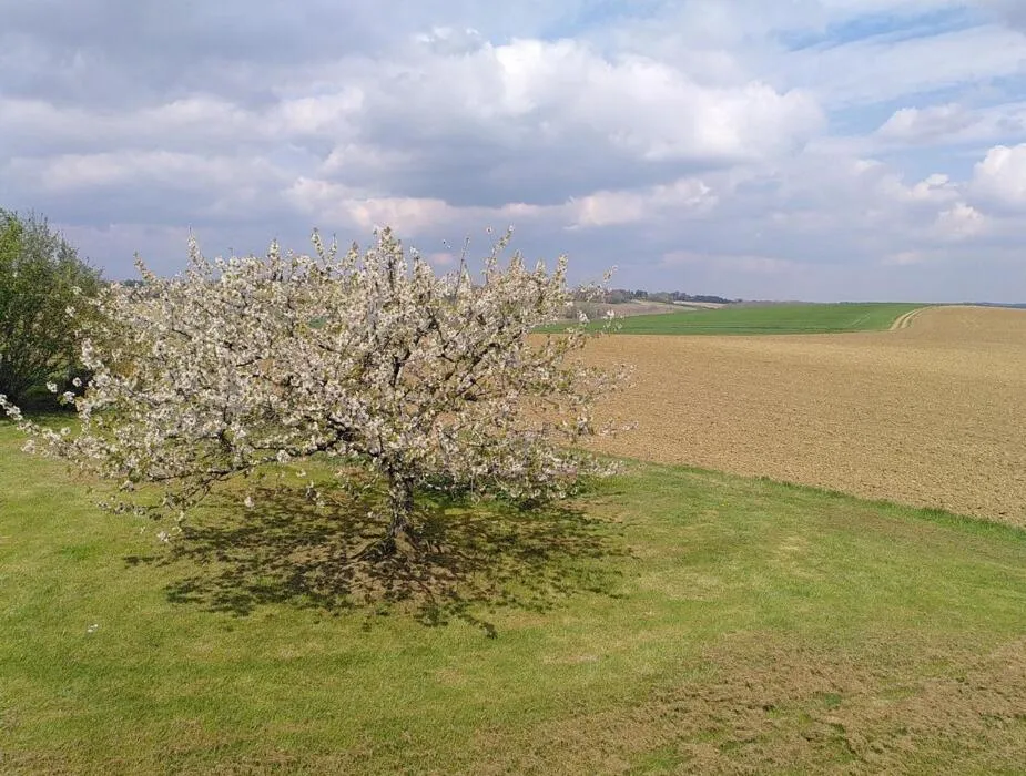 Garden view in Le Clot de Meste Duran