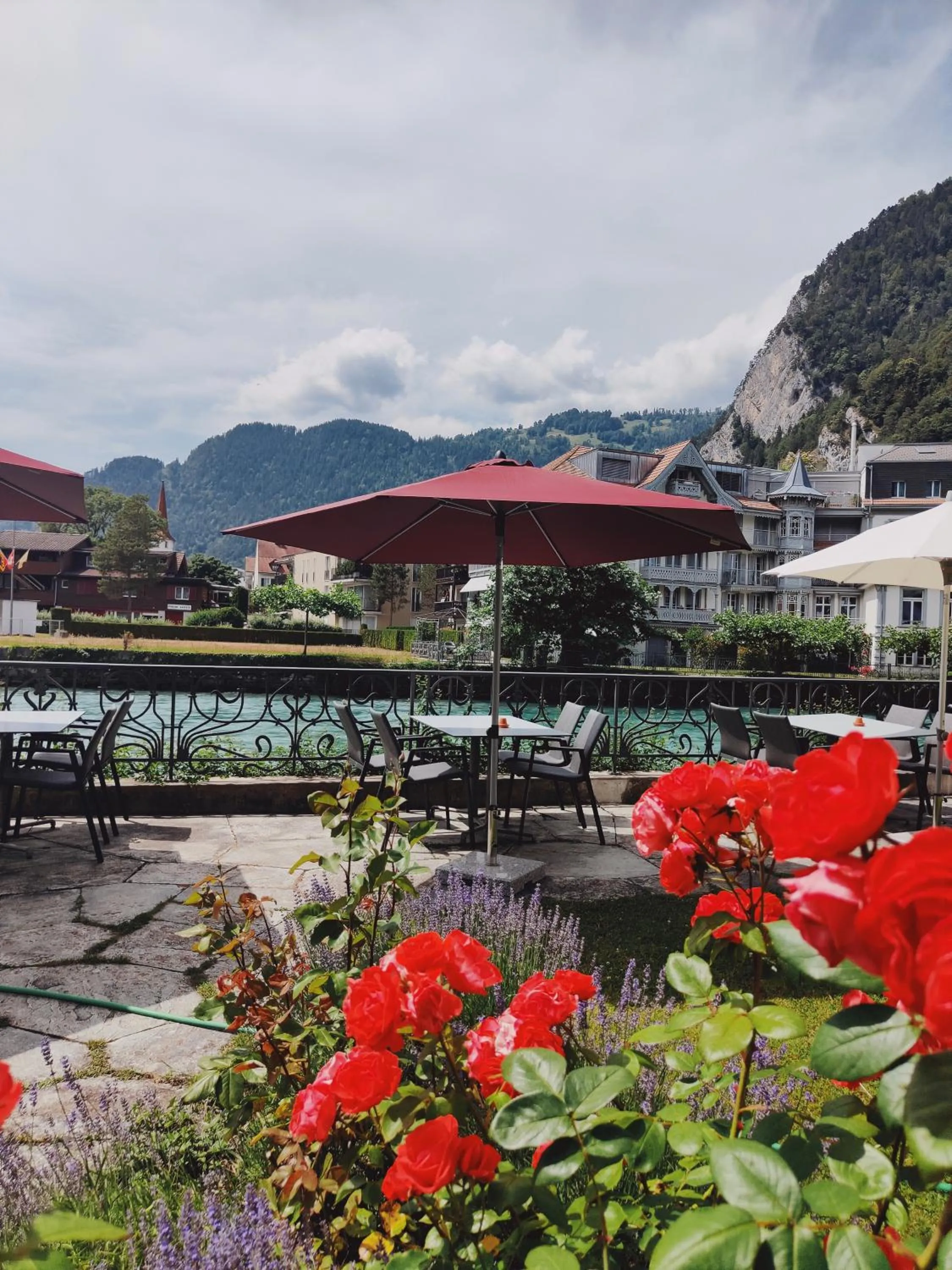 Garden in Boutique Hotel Bellevue