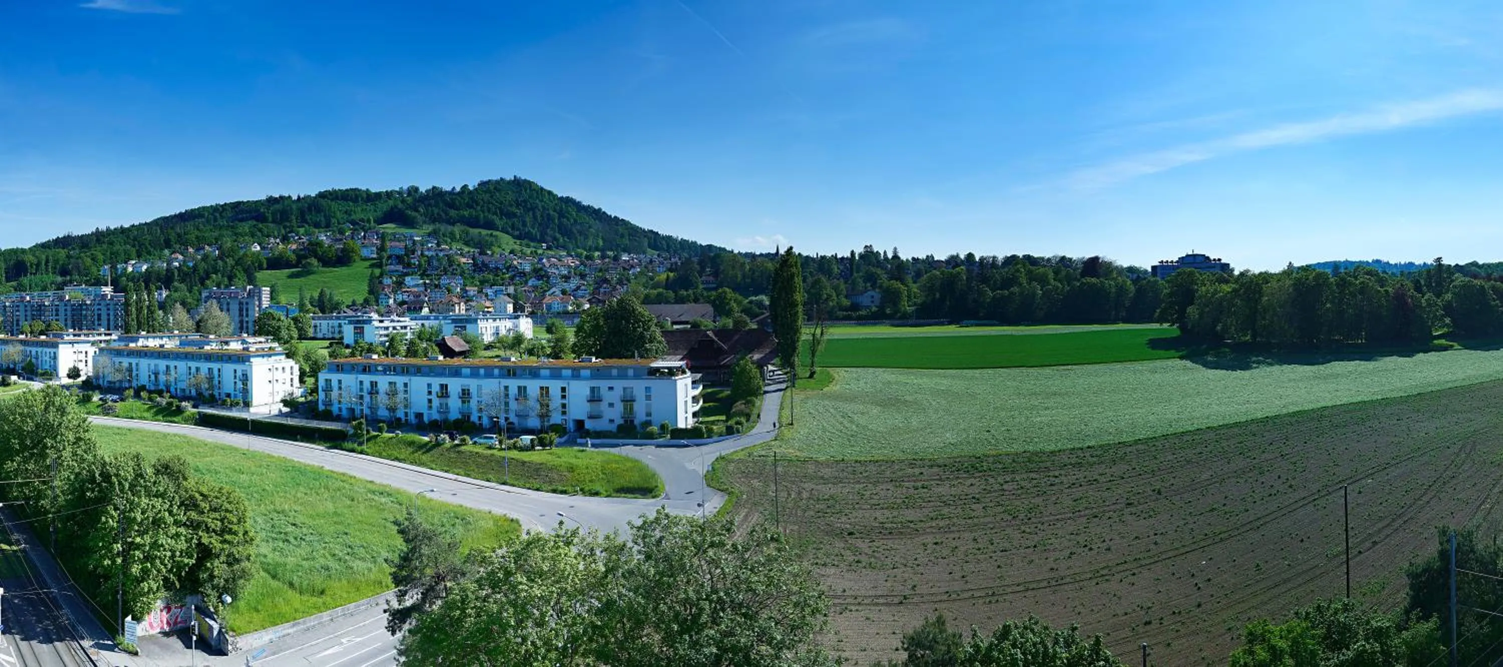 Natural landscape in Hotel Ambassador