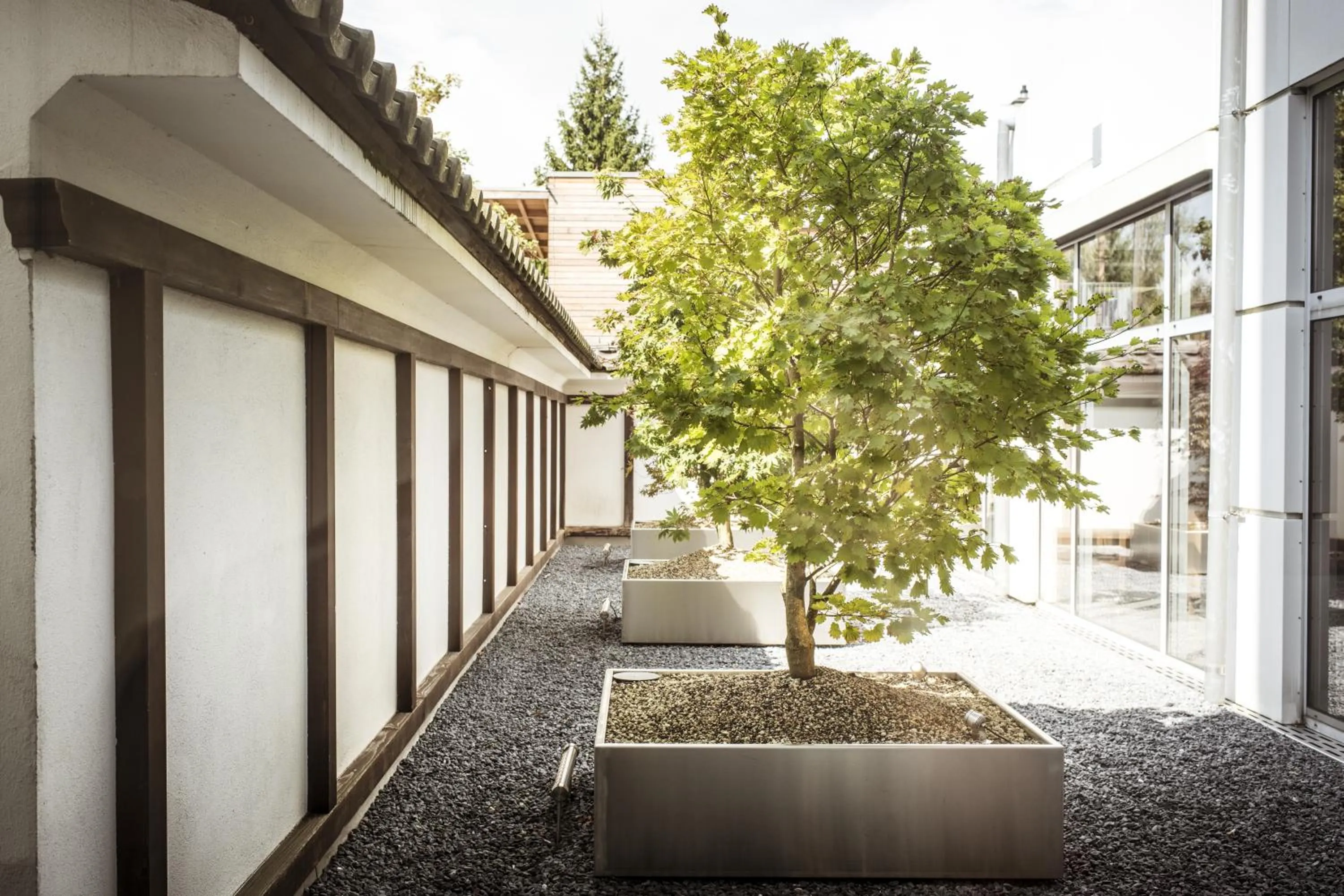 Garden in Hotel Ambassador