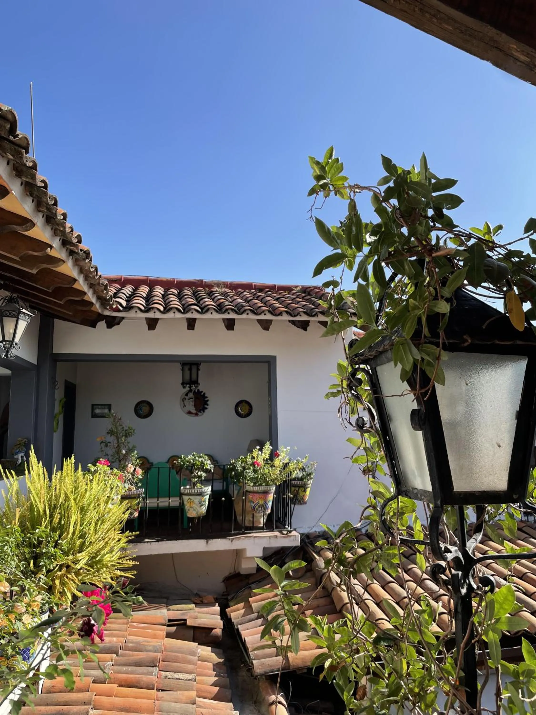Garden view in Villa Bonita Les Terrasses