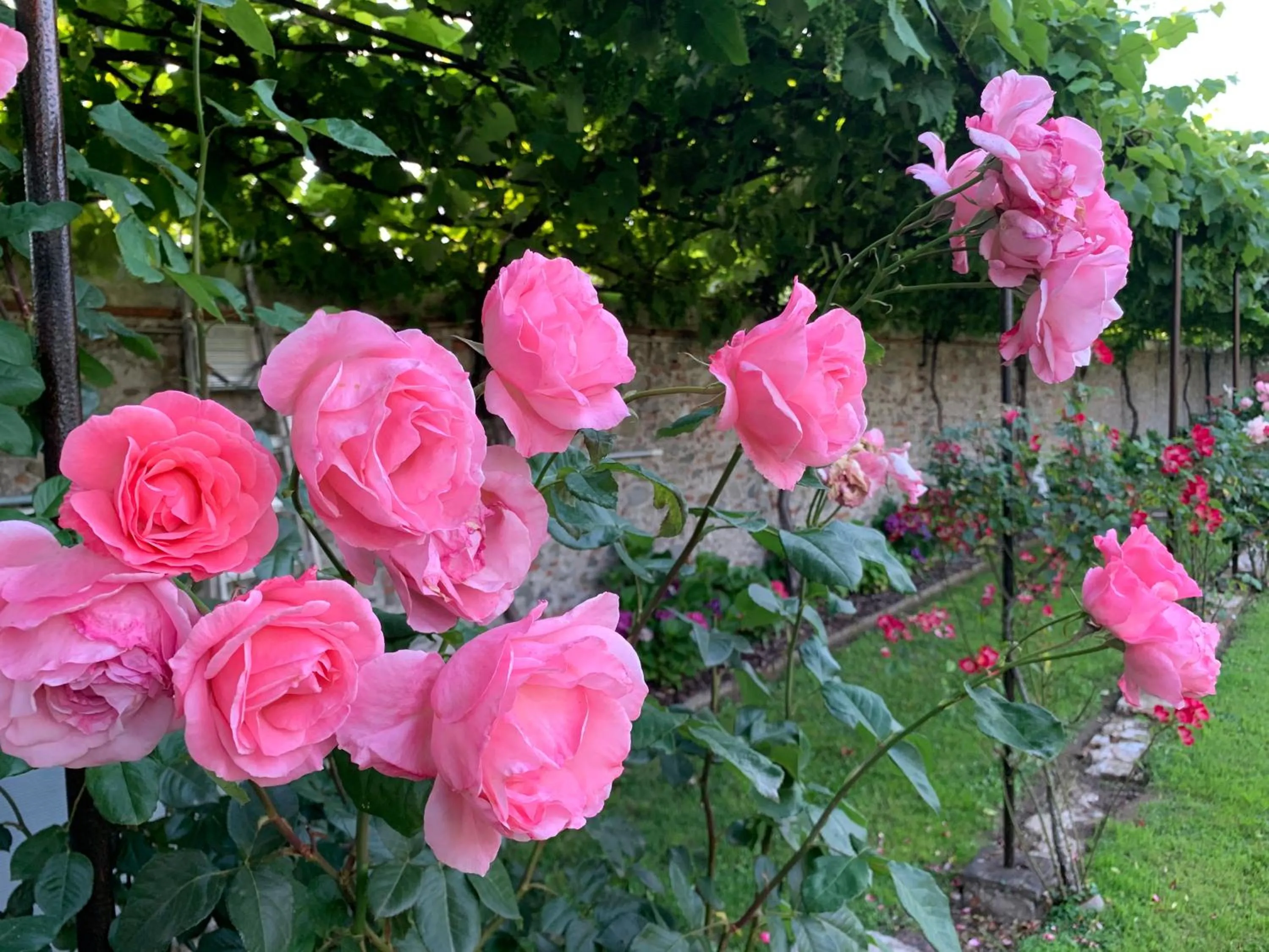Spring in Villa La Preziosa