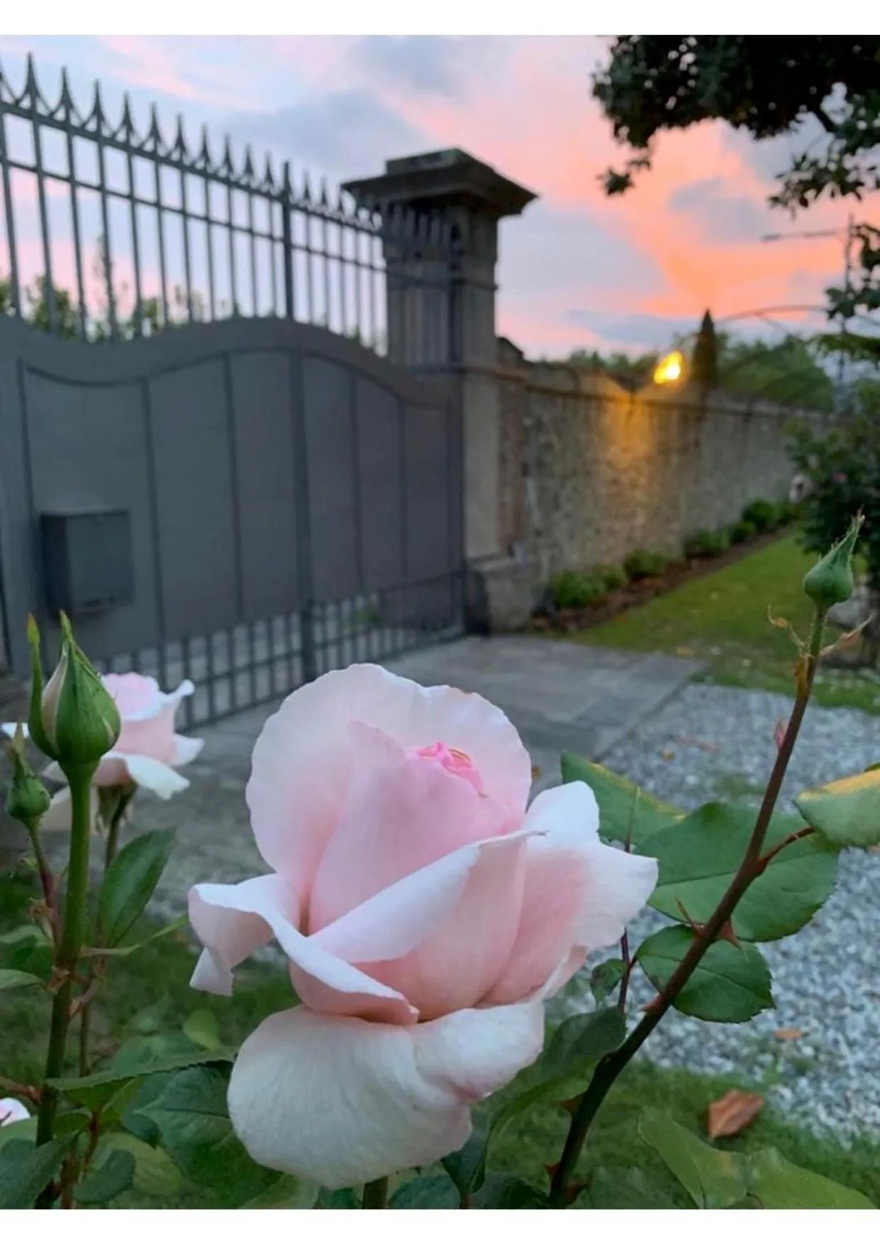 Garden in Villa La Preziosa