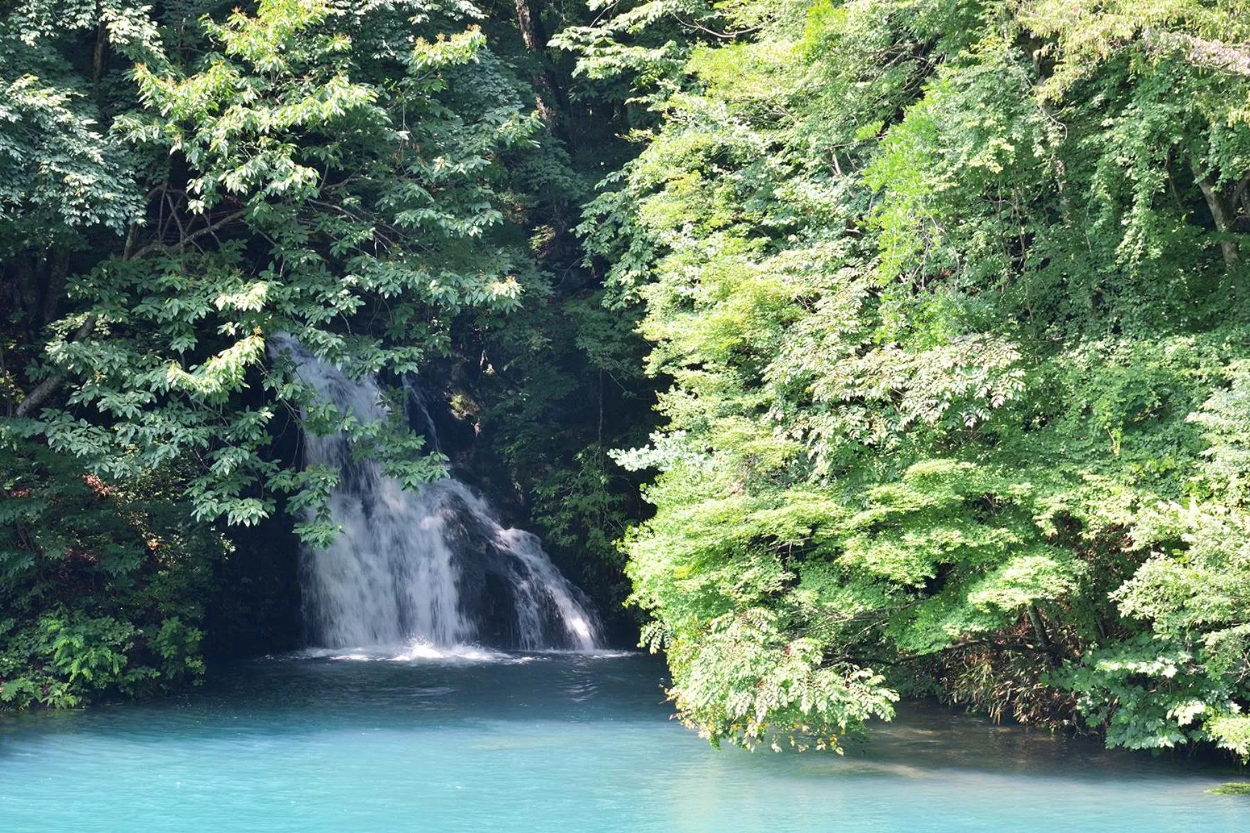 Off site in Shima Onsen Yoshimoto