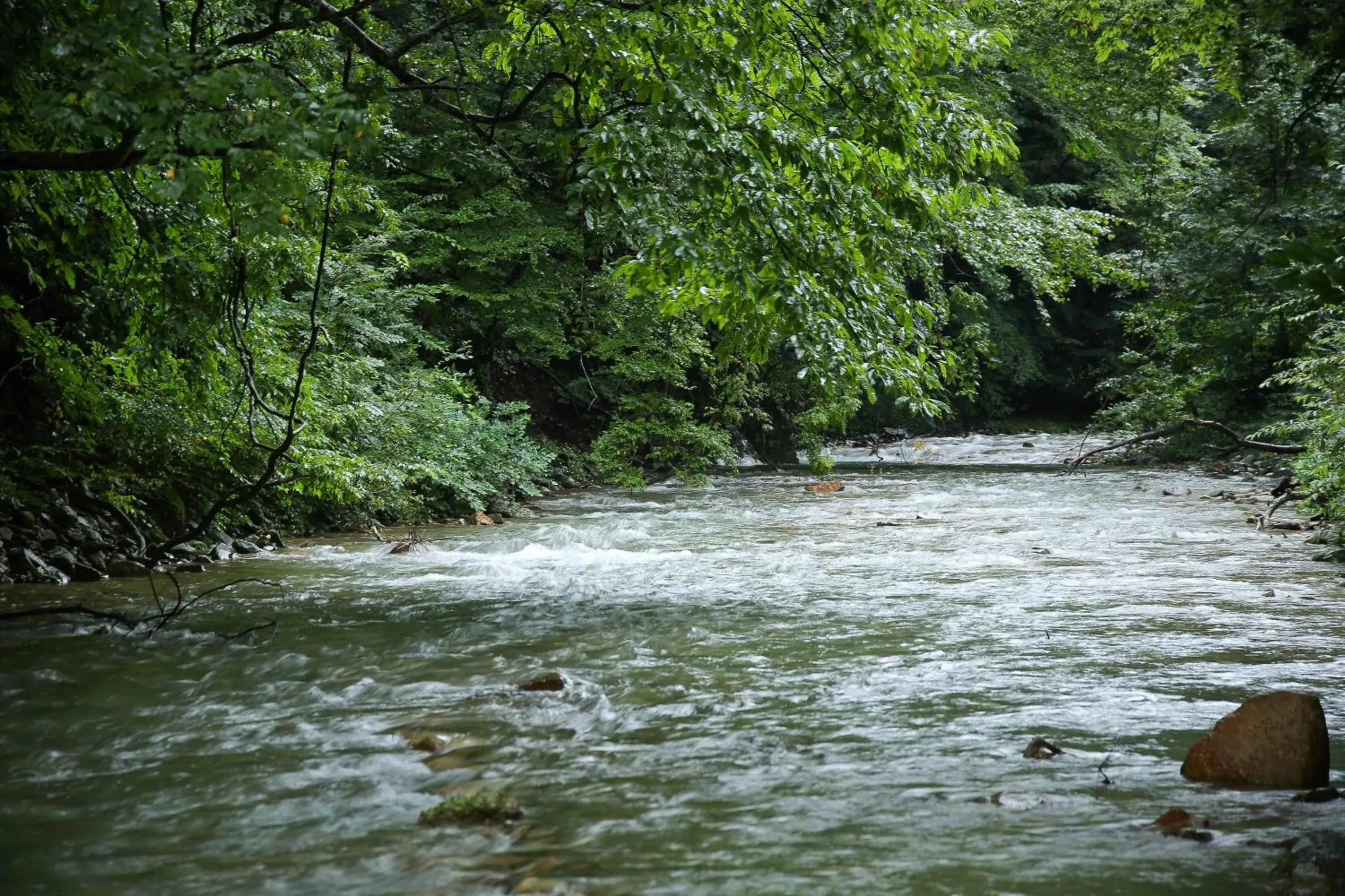 Neighbourhood in Shima Onsen Yoshimoto